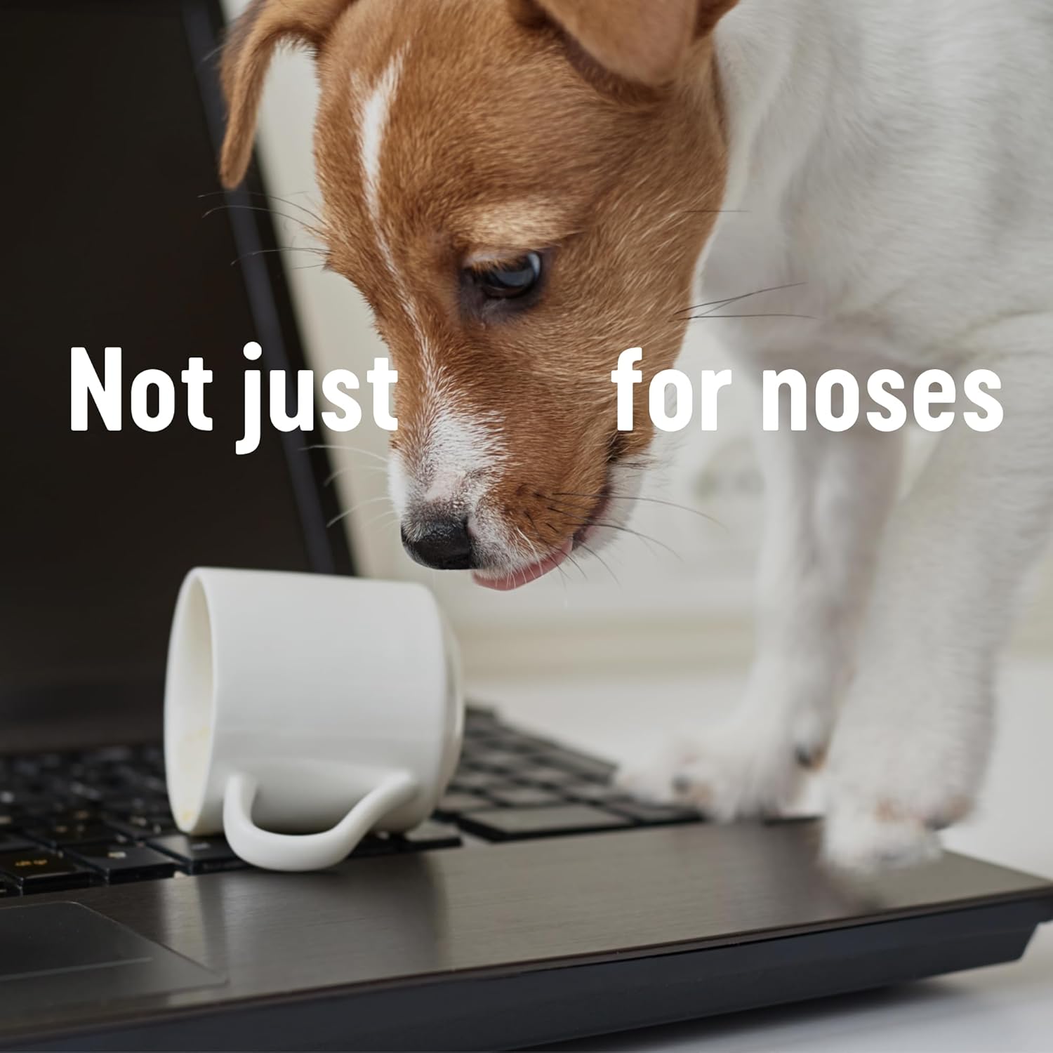 Kleenex - Original Kosmetiktücher, 3-lagig, 64 Blatt pro Box 5