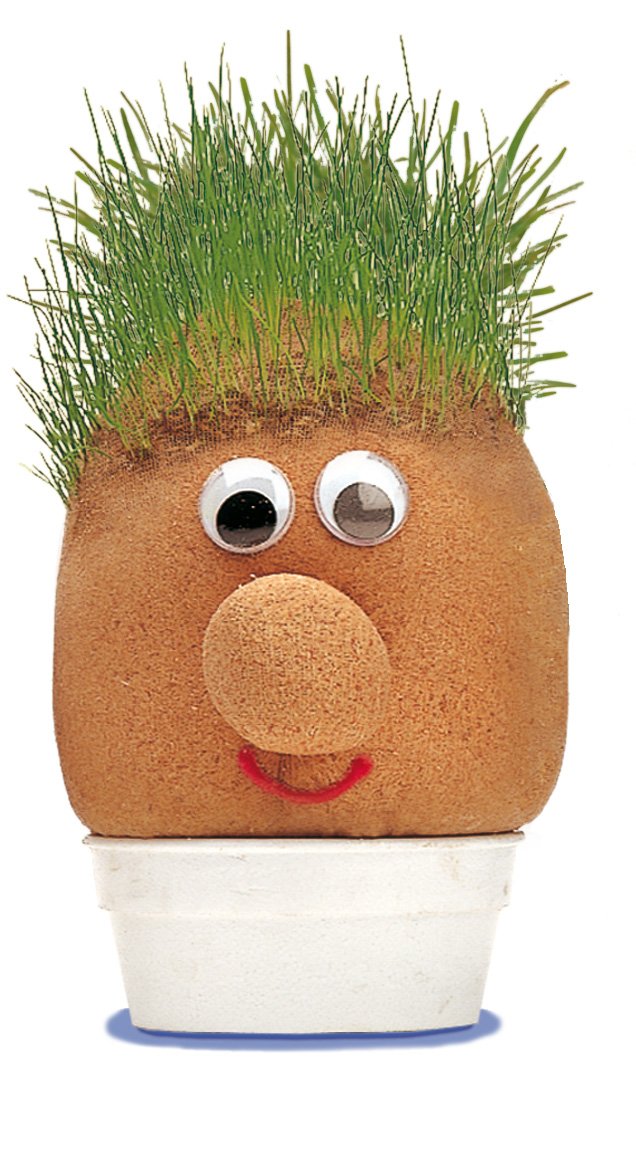 Tobar - Mr Grasshead Hair Grow Toy