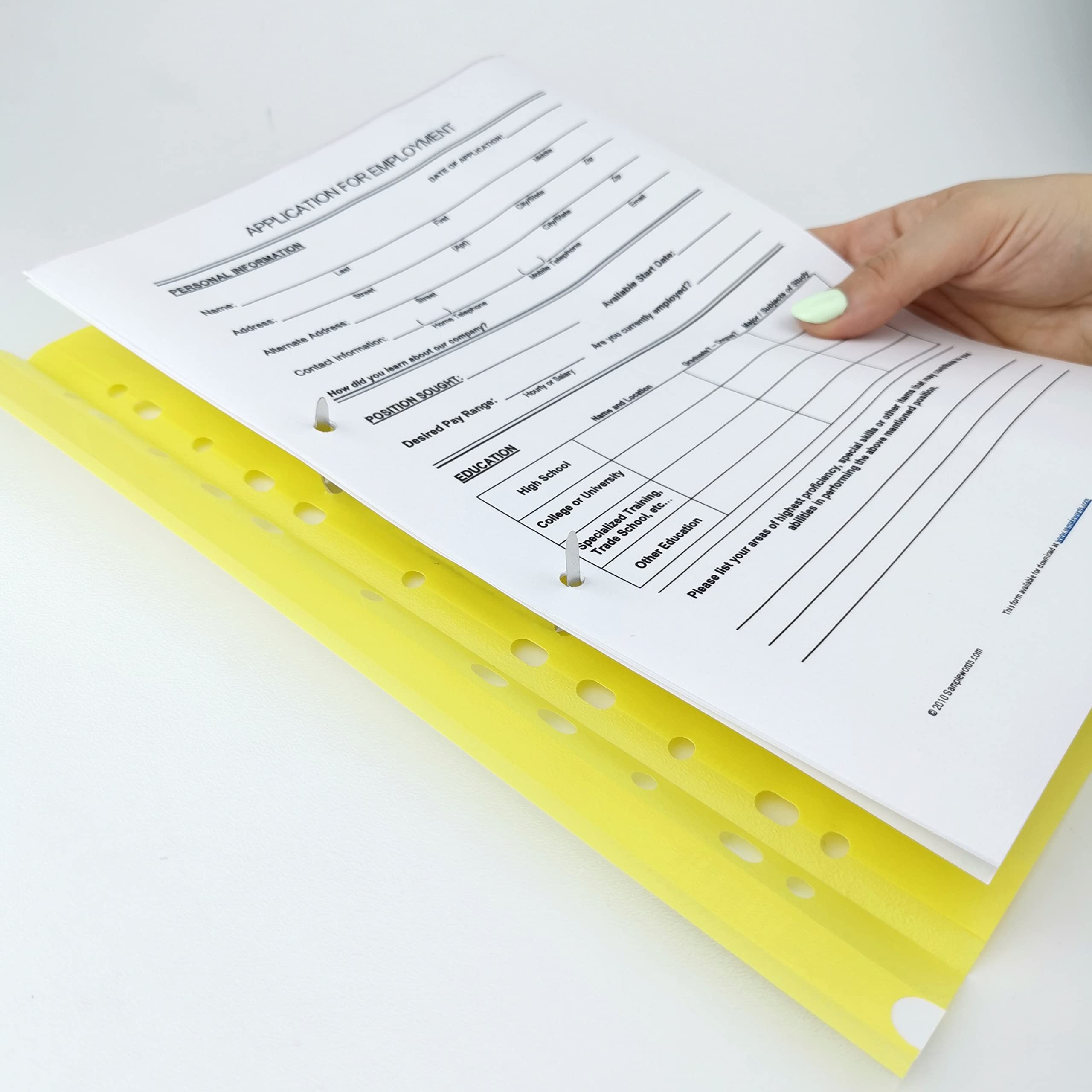 D.RECT A4 File Folders - Pack of 10 (2 per Colour) | Perforated Euro Style | Transparent PP Plastic 5