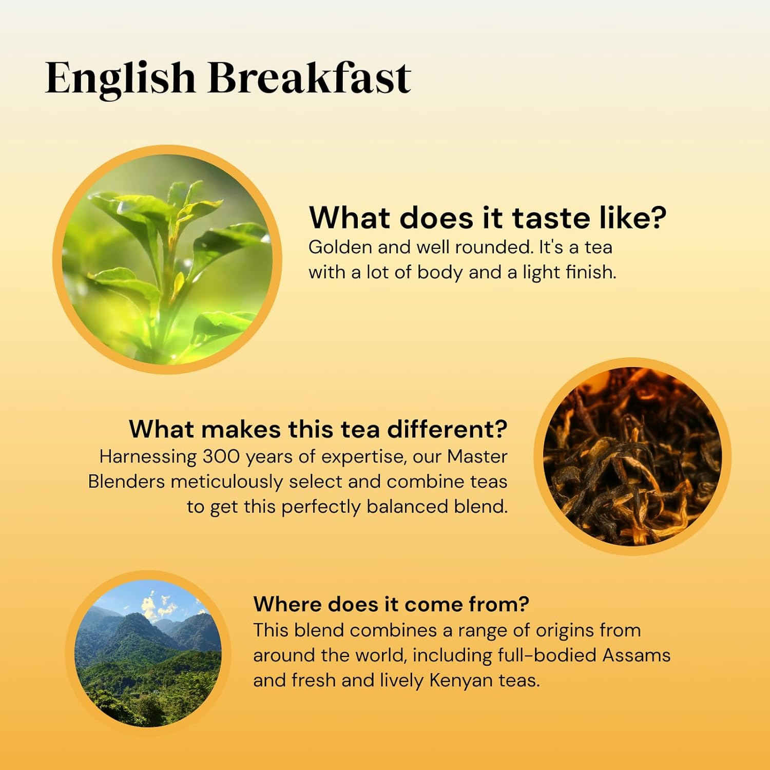 Twinings English Breakfast Tea | Golden, Well-Rounded & Full-Bodied Black Tea | 80 Tea Bags 5