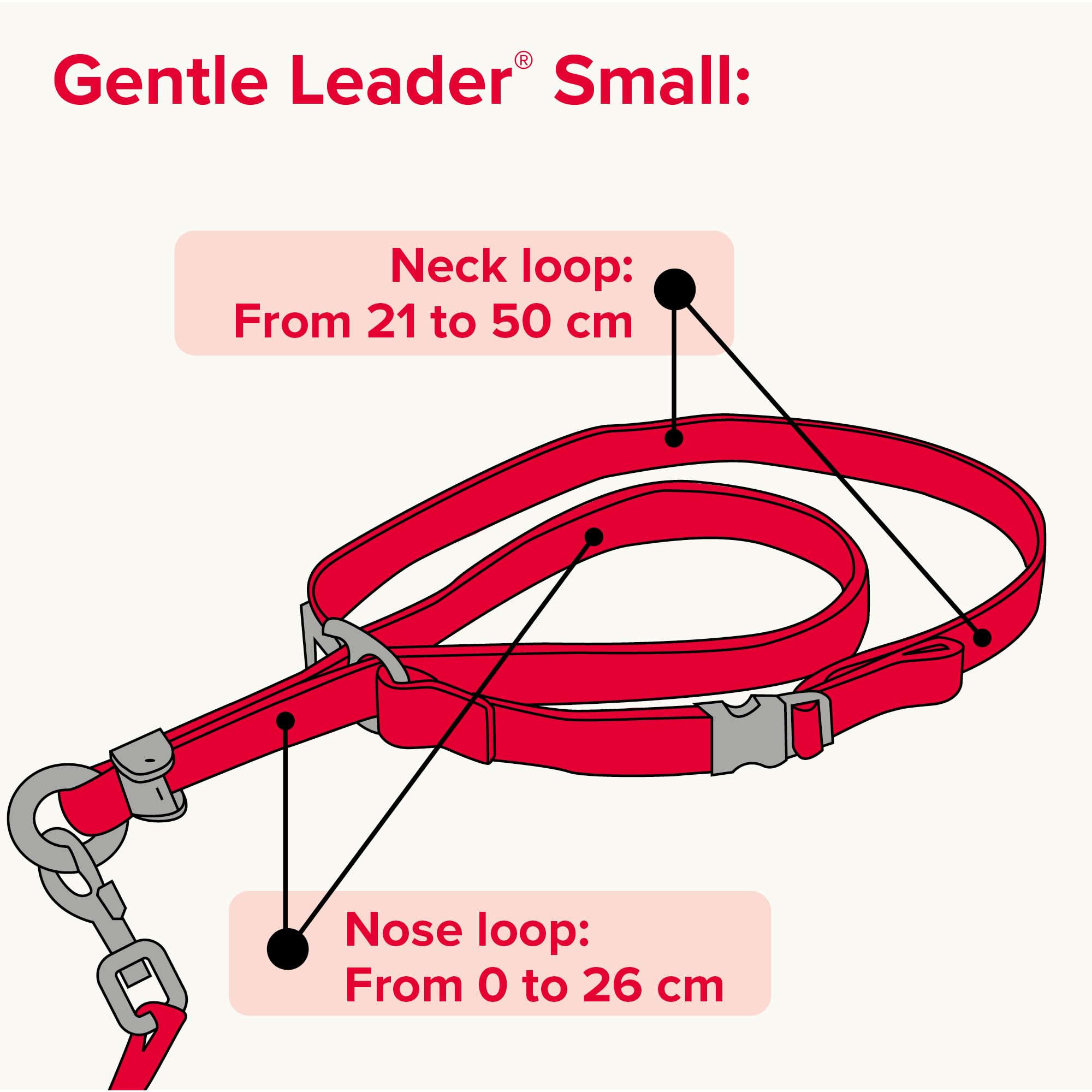 Beaphar Gentle Leader Headcollar - Stops Pulling for Small Dogs | Black Nylon 7