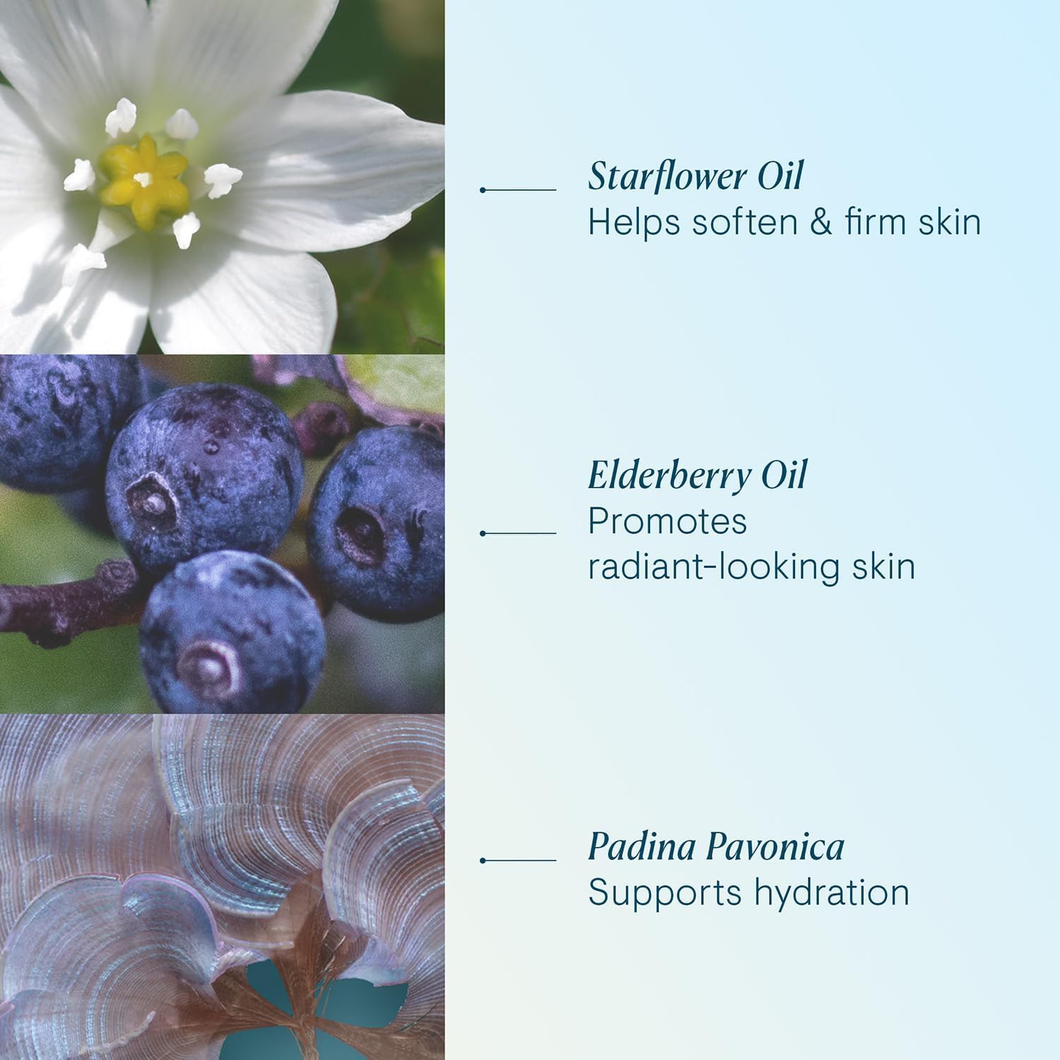 Elemis Pro-Collagen Green Fig Cleansing Balm (100g) 6