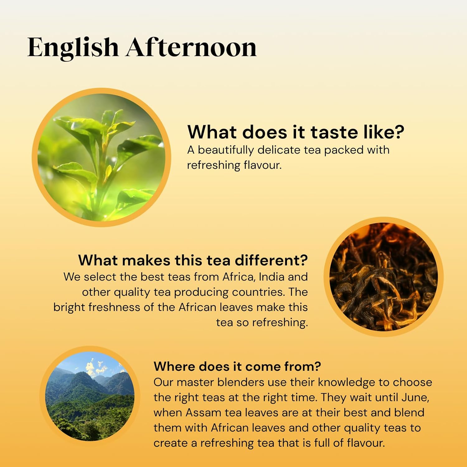 Twinings English Afternoon Tea | Light Black Tea | 320 Biodegradable Tea Bags 4