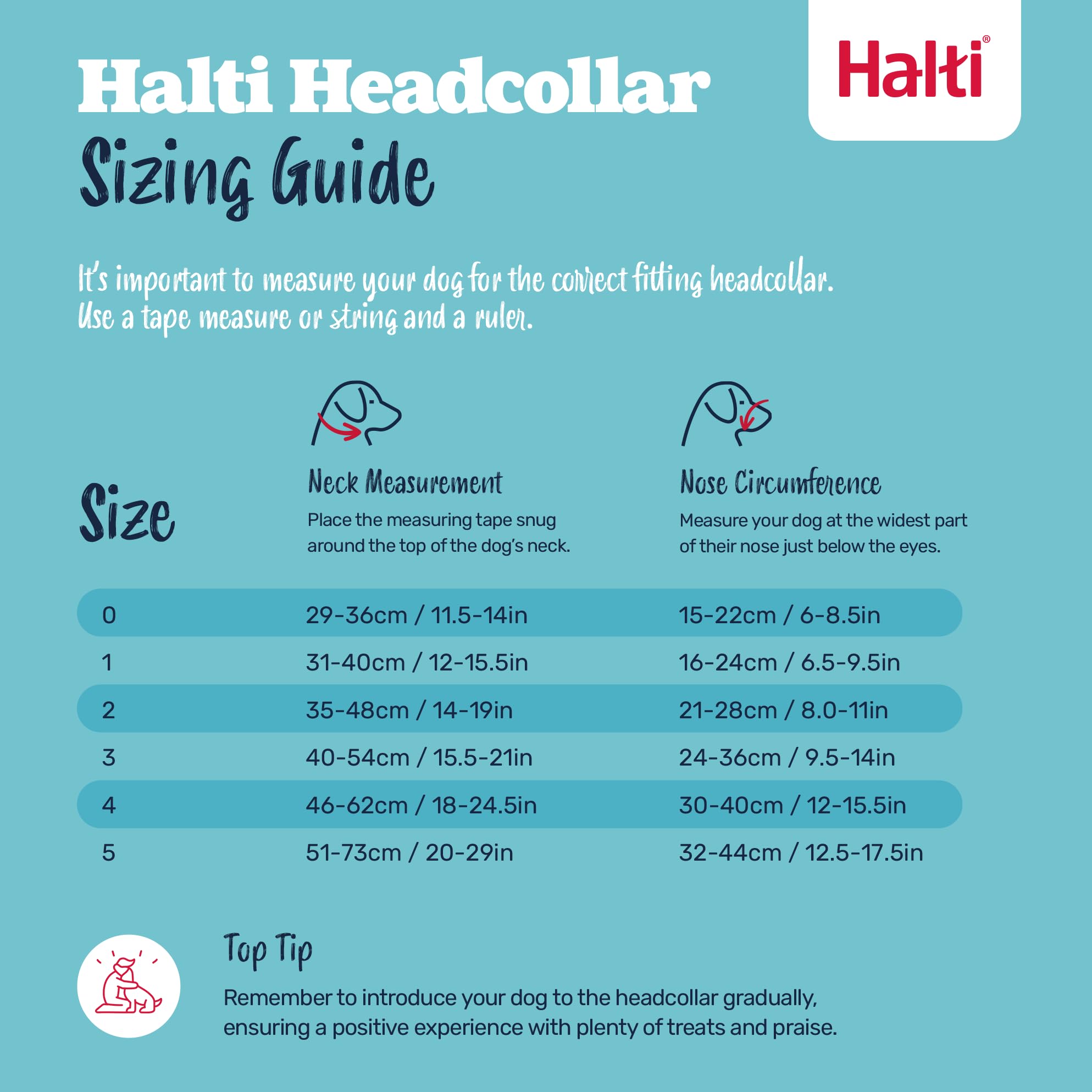 Halti Headcollar - Stops Pulling for Dogs | Size 3 | Forest Green | Reflective 5