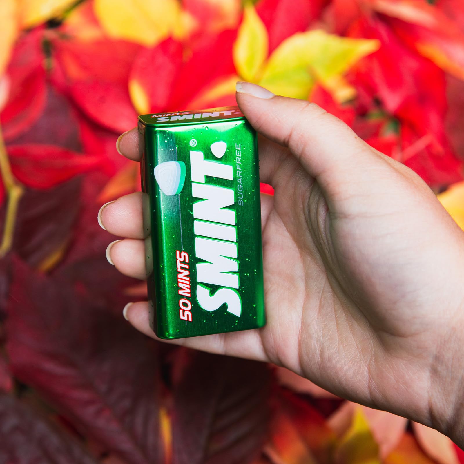 Smint - Spearmint XXL Zuckerfreie Pfefferminzbonbons (Packung mit 12 Dosen) 9