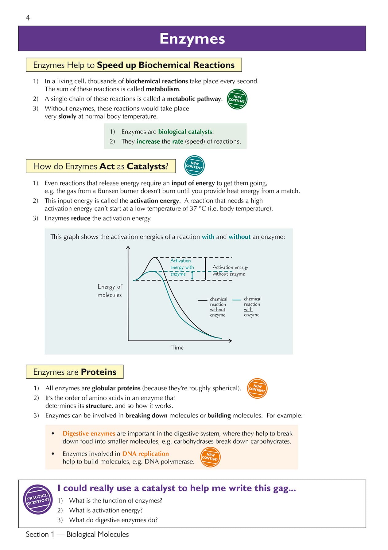 CGP Head Start to A-Level Biology - Bridging GCSE to A-Level Prep | Paperback 5