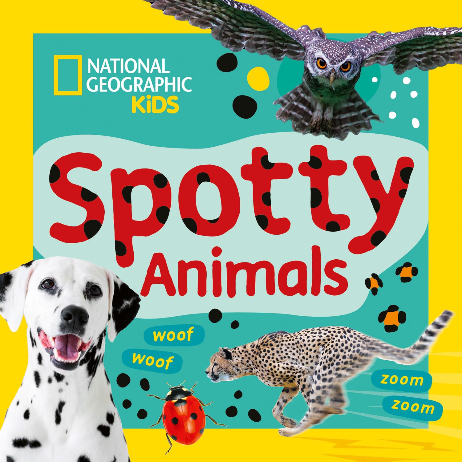 Collins Spotty Animals: A Fun First Board Book for Toddlers to Learn About Animals | Picture Book 1
