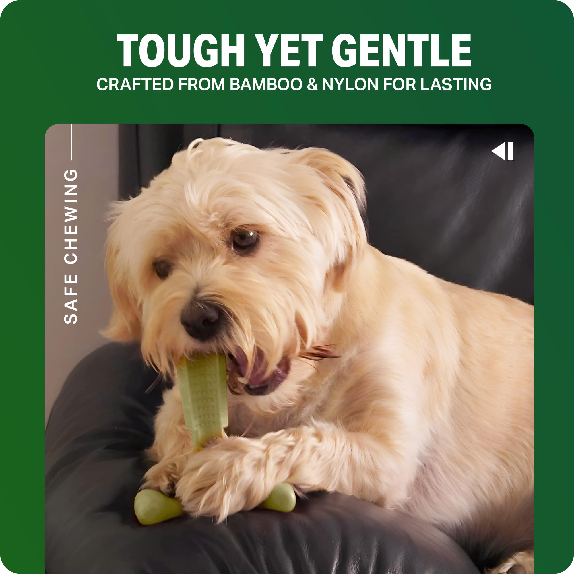 Bamboodles T-Bone Dog Chew Toy - Small Size | Cheese Flavour | Durable Natural Bamboo Fibre 6