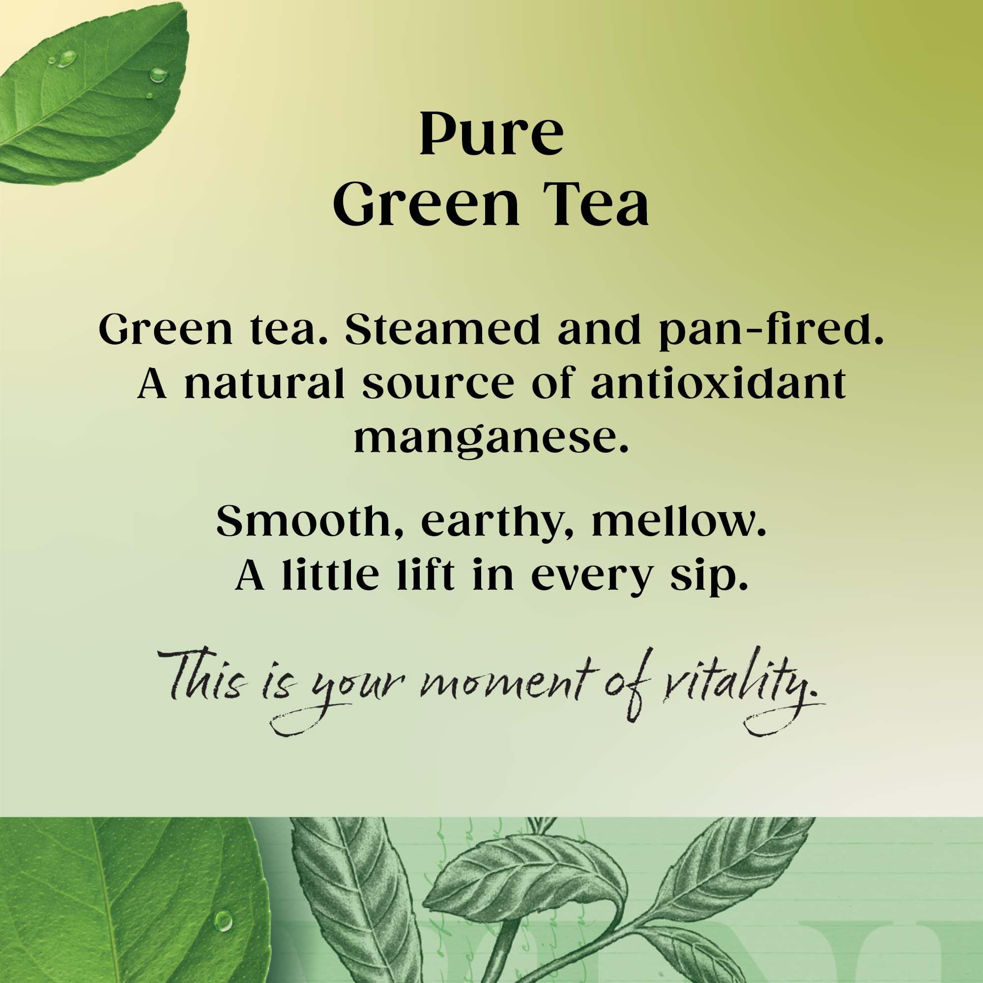 Twinings Pure Green Tea 80 Tea Bags (4 x 20 Tea Bags) 7