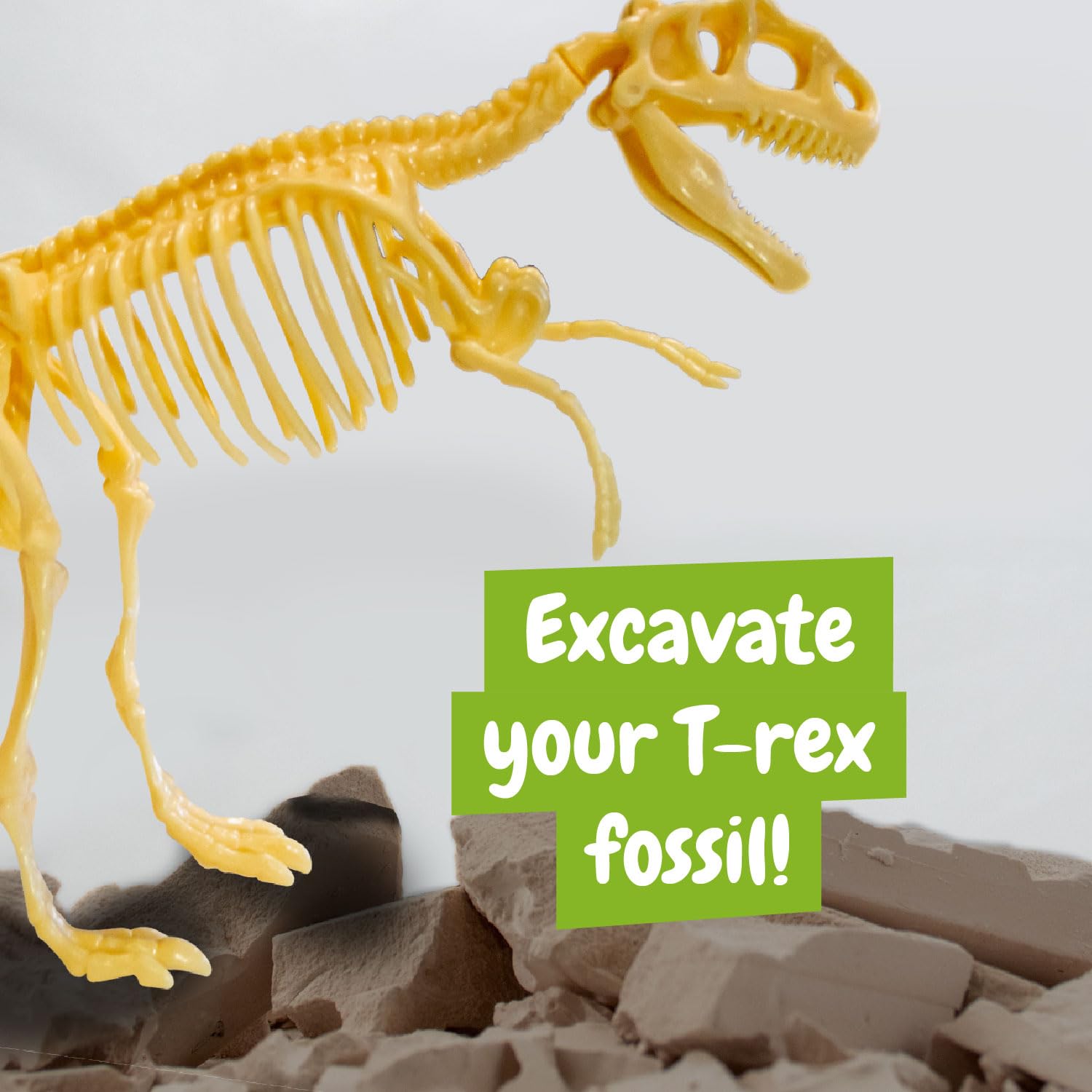 T Rex Fossil Hunting Kit - Excavate & Assemble 15-Piece Dinosaur Fossil - Science4you Age 6+ 9