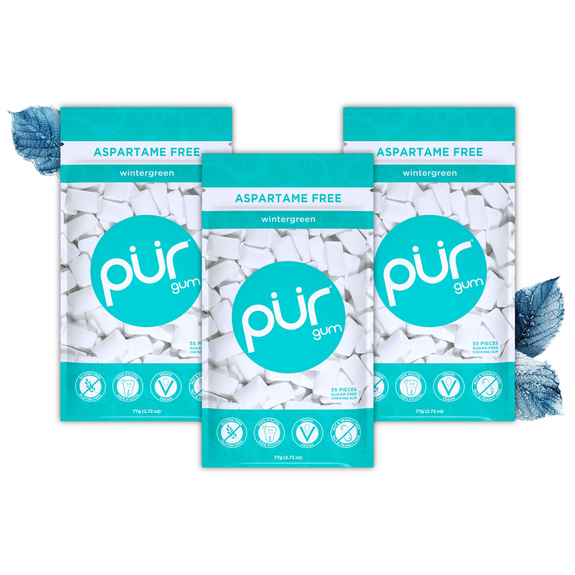 PUR - Natural Wintergreen Sugar-Free Chewing Gum (55 Pieces, Pack of 3)