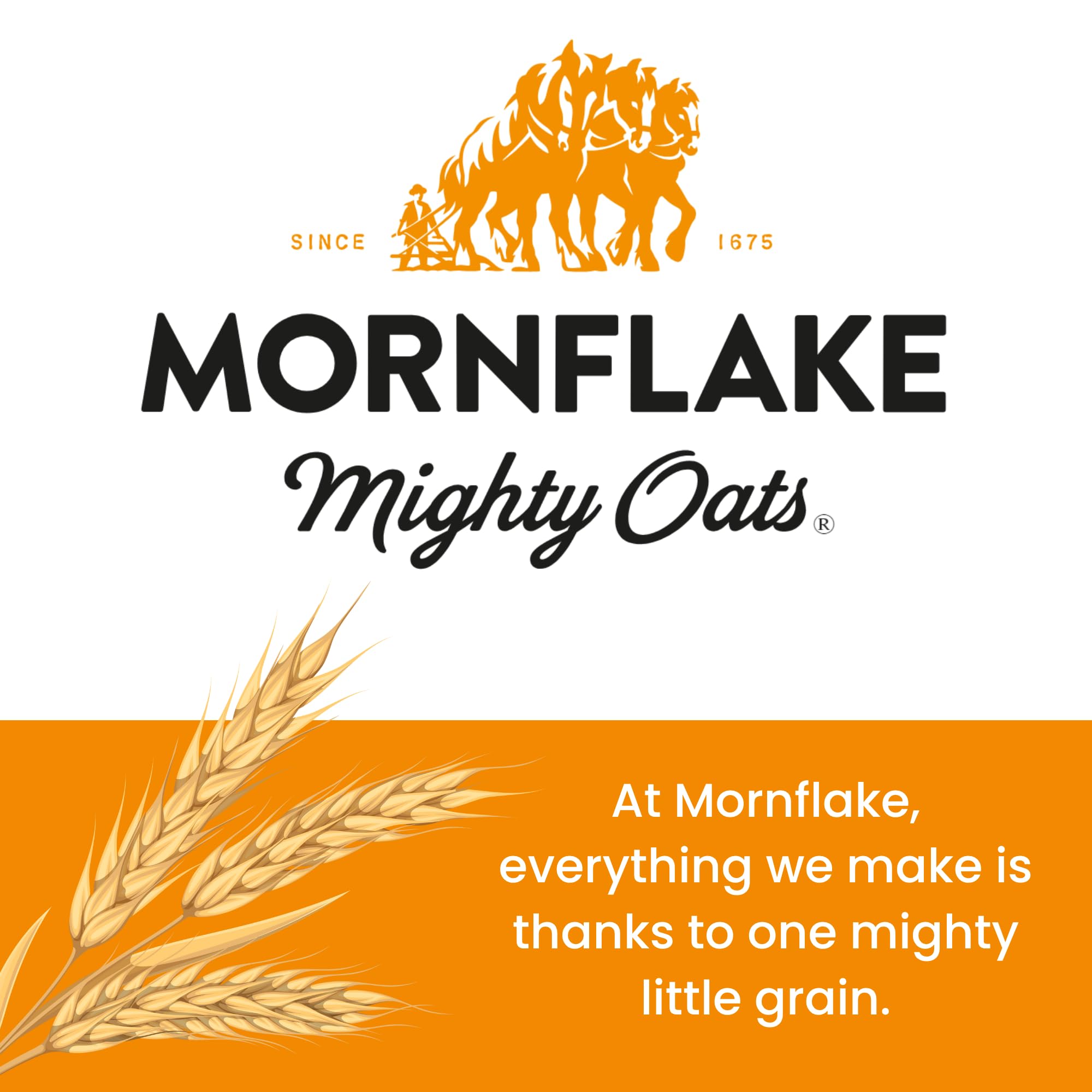 Mornflake - Original Heart Healthy Oatbran 800g 9