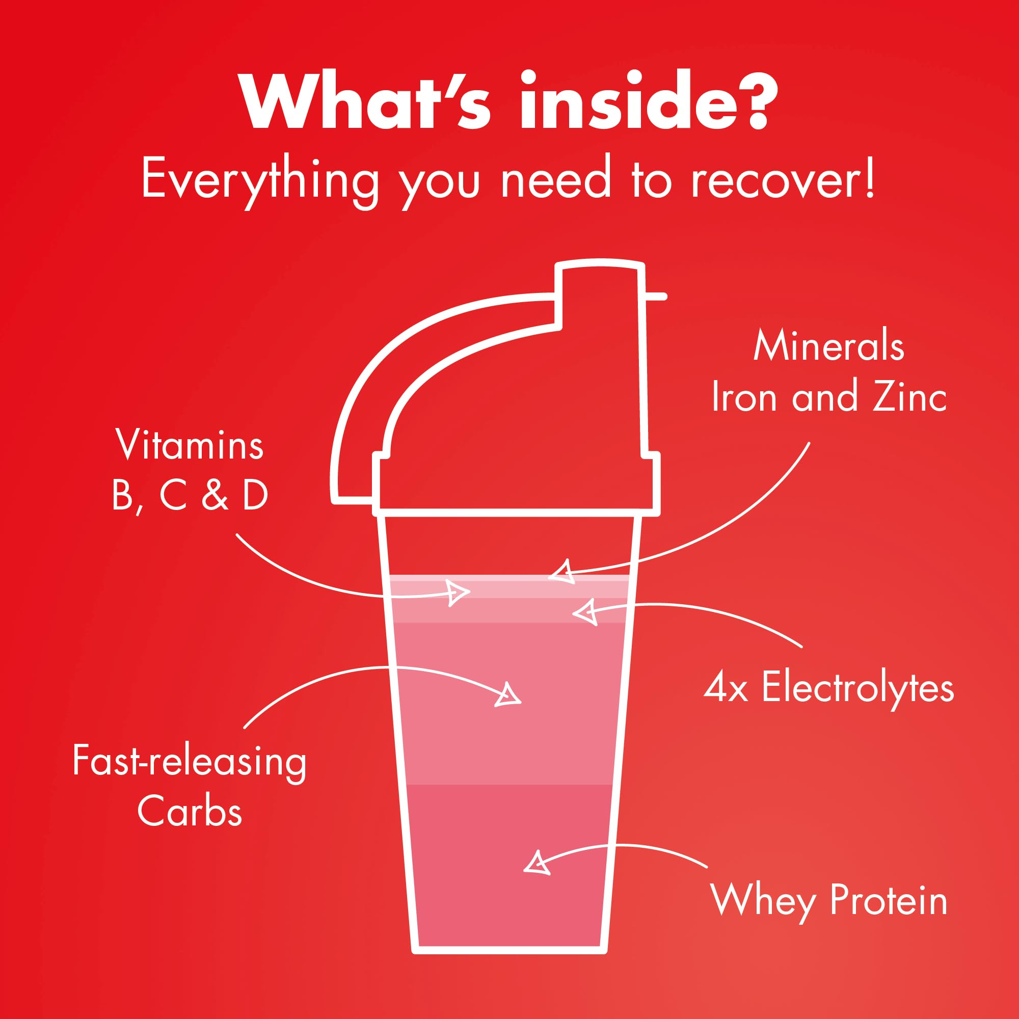 HIGH5 Recovery Drink | Whey Protein Isolate | Promotes Recovery | Berry Flavor, 1kg 5