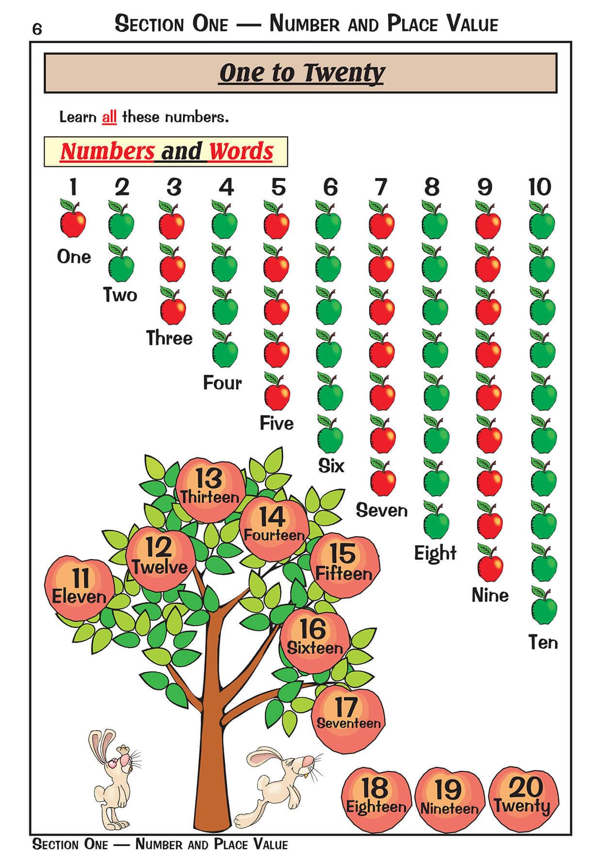 CGP KS1 Maths Targeted Study & Question Book - Year 1 | Ages 5-6 | Paperback 2