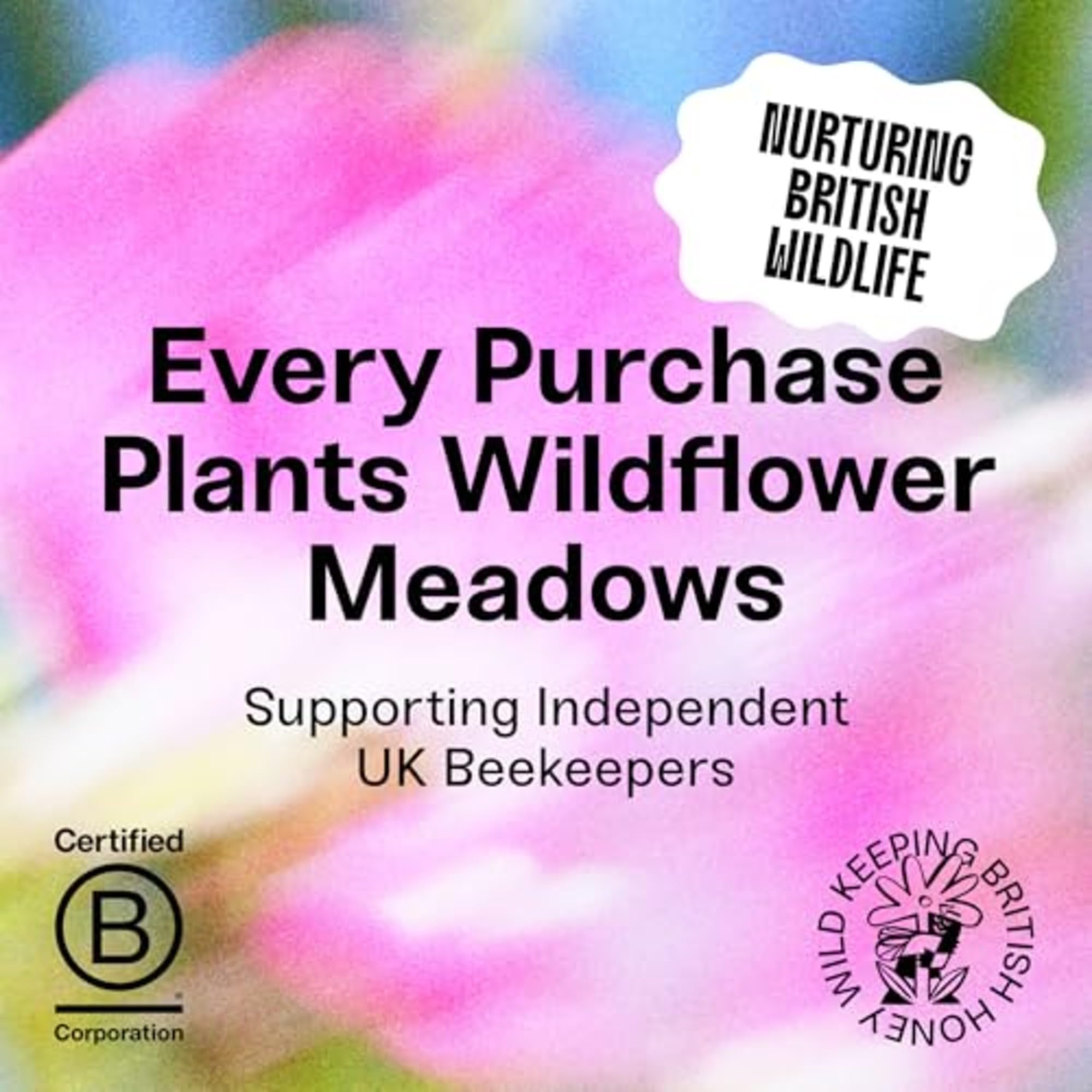 Black Bee Honey Gift Set - 4x 42g British Honey Pack, Creamy Light Spring 3