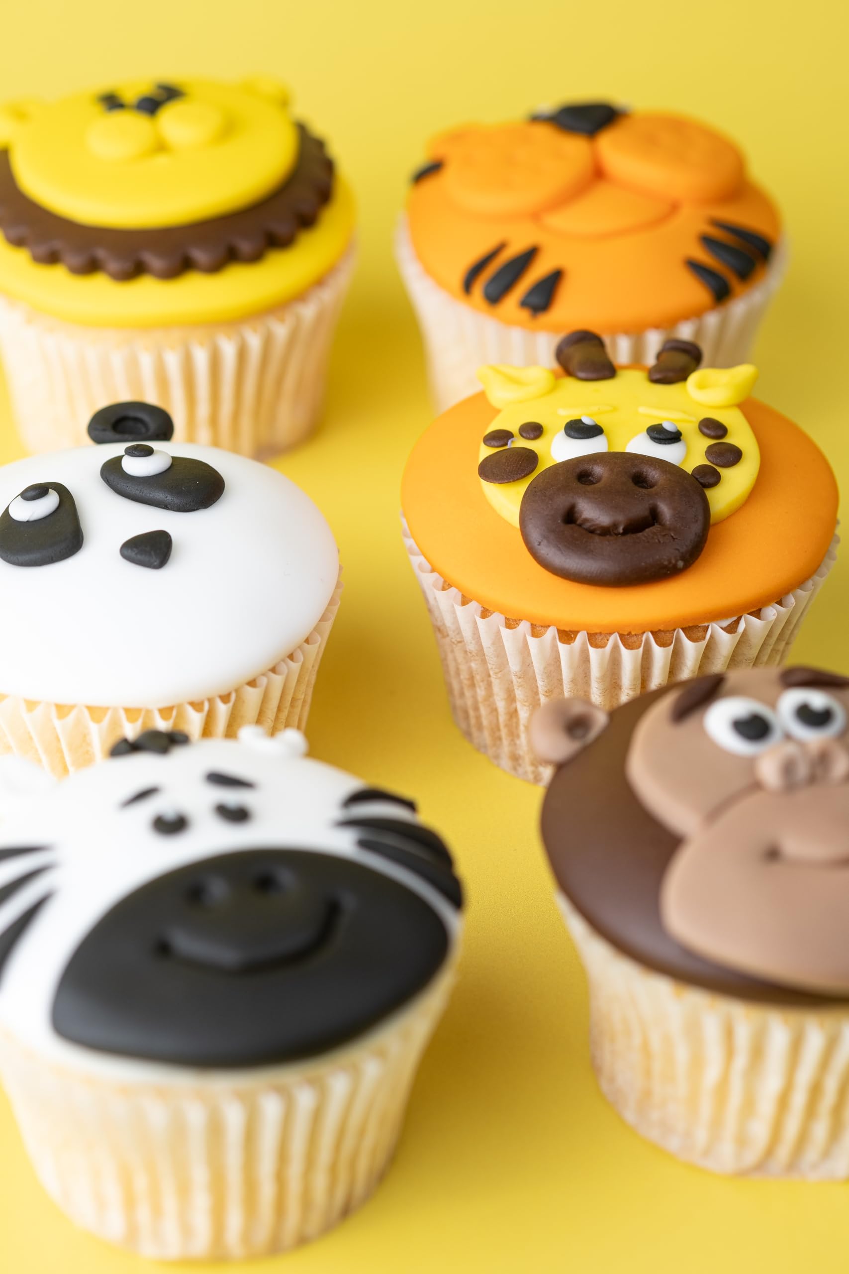 Renshaw Just Roll With It Fondant Icing Multipack, 5 x 100g 7