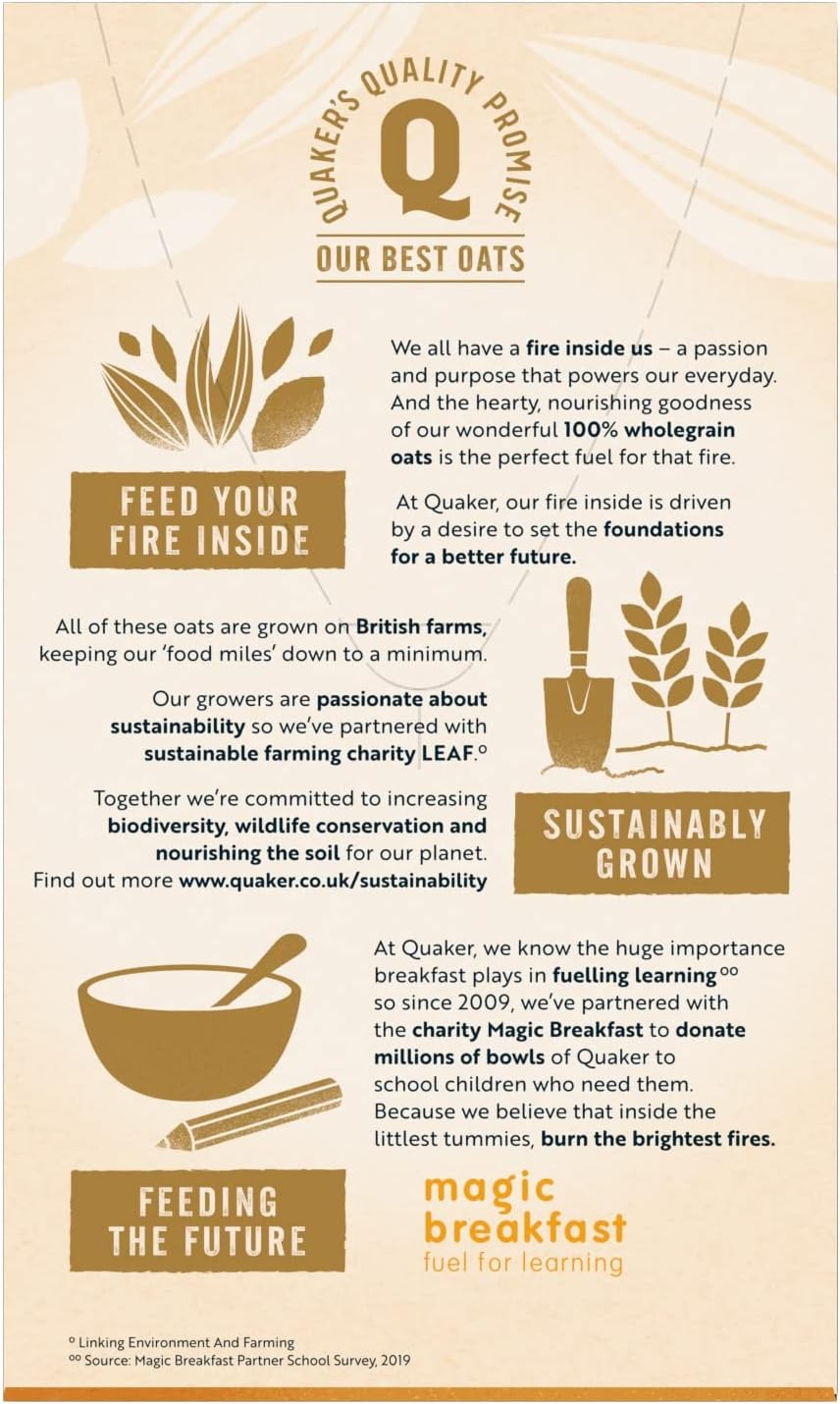 Quaker Oat So Simple Golden Syrup Porridge, 10 x 36g 9