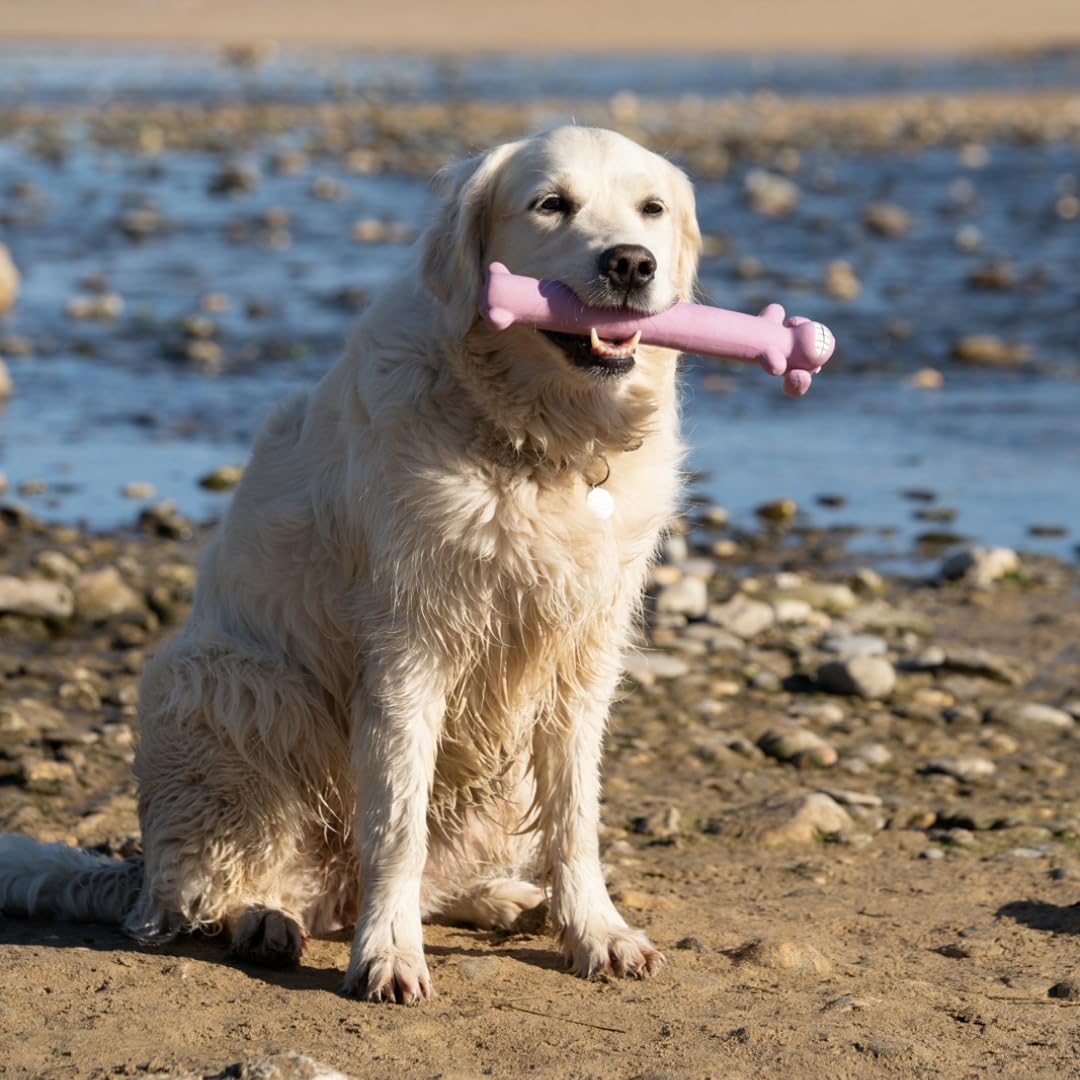 Petface Soft Latex Loofah Chew Toy - Squeaker Included | Water Resistant | Assorted Color 6