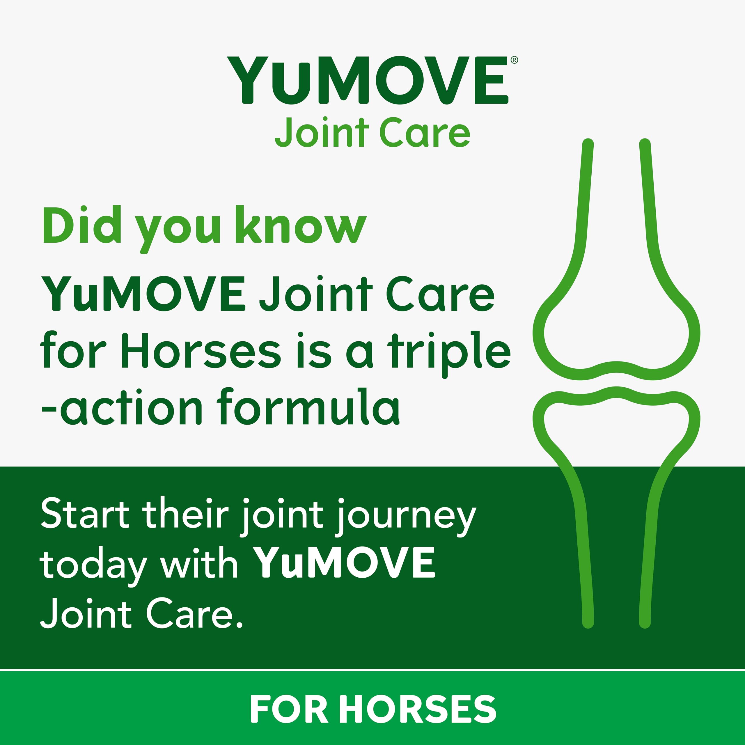 YuMOVE Horse Joint Aid Supplement with Glucosamine, Chondroitin & Green Lipped Mussel | 1.8kg 3