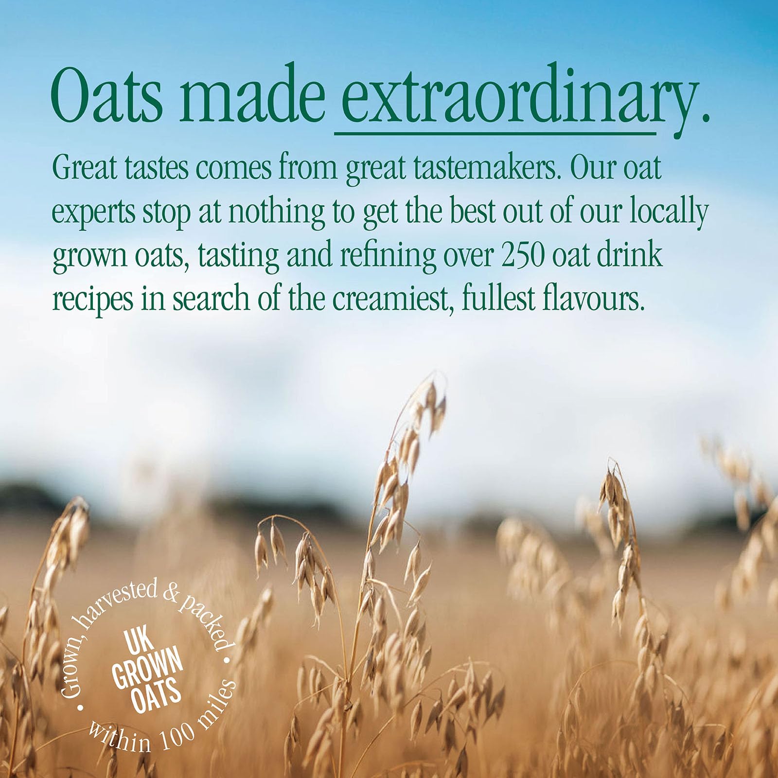 MOMA Barista Haferdrink – 750ml – Pflanzlich, Vegan, Ohne Zuckerzusatz 7