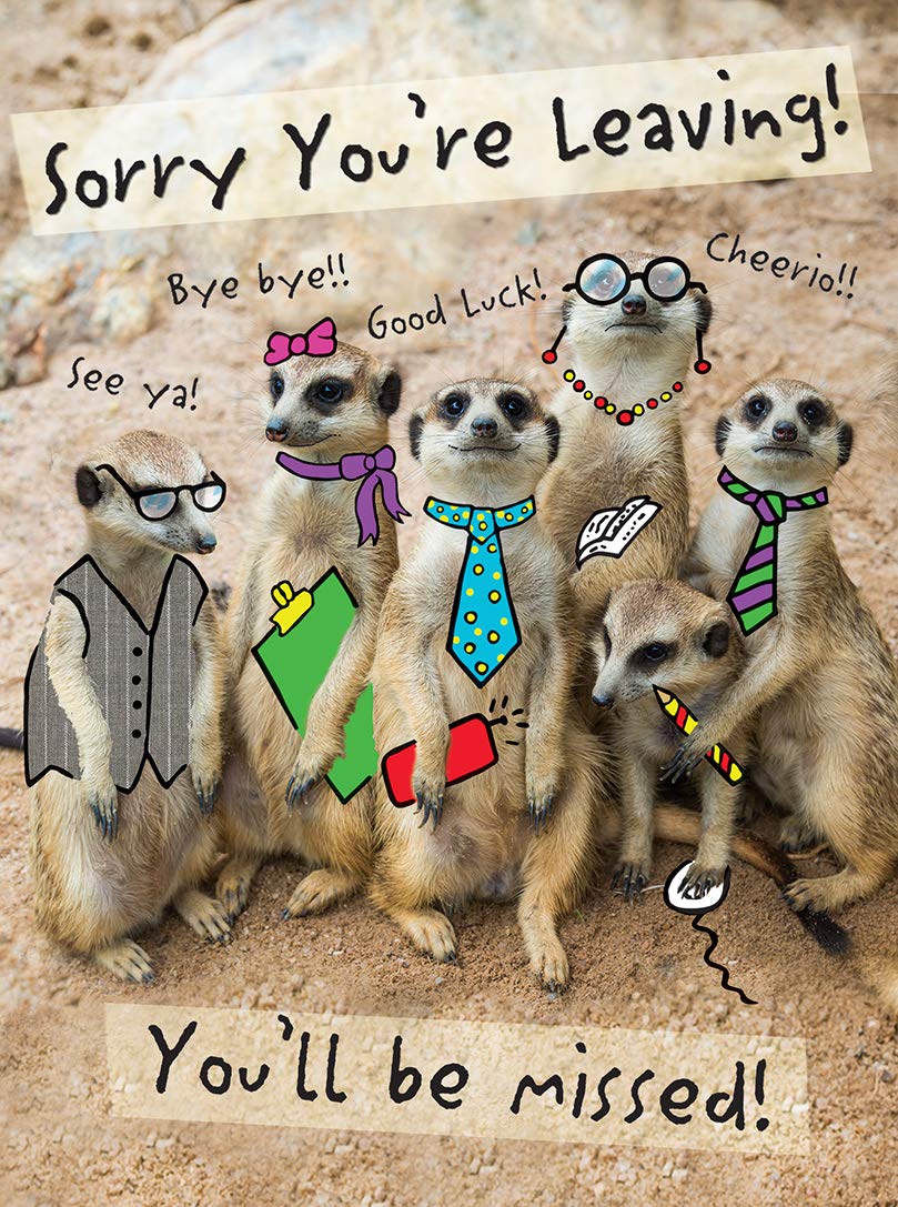 Piccadilly Greetings Modern Large Leaving Card - 12 x 9 Inches | Farewell | Unisex-Kids