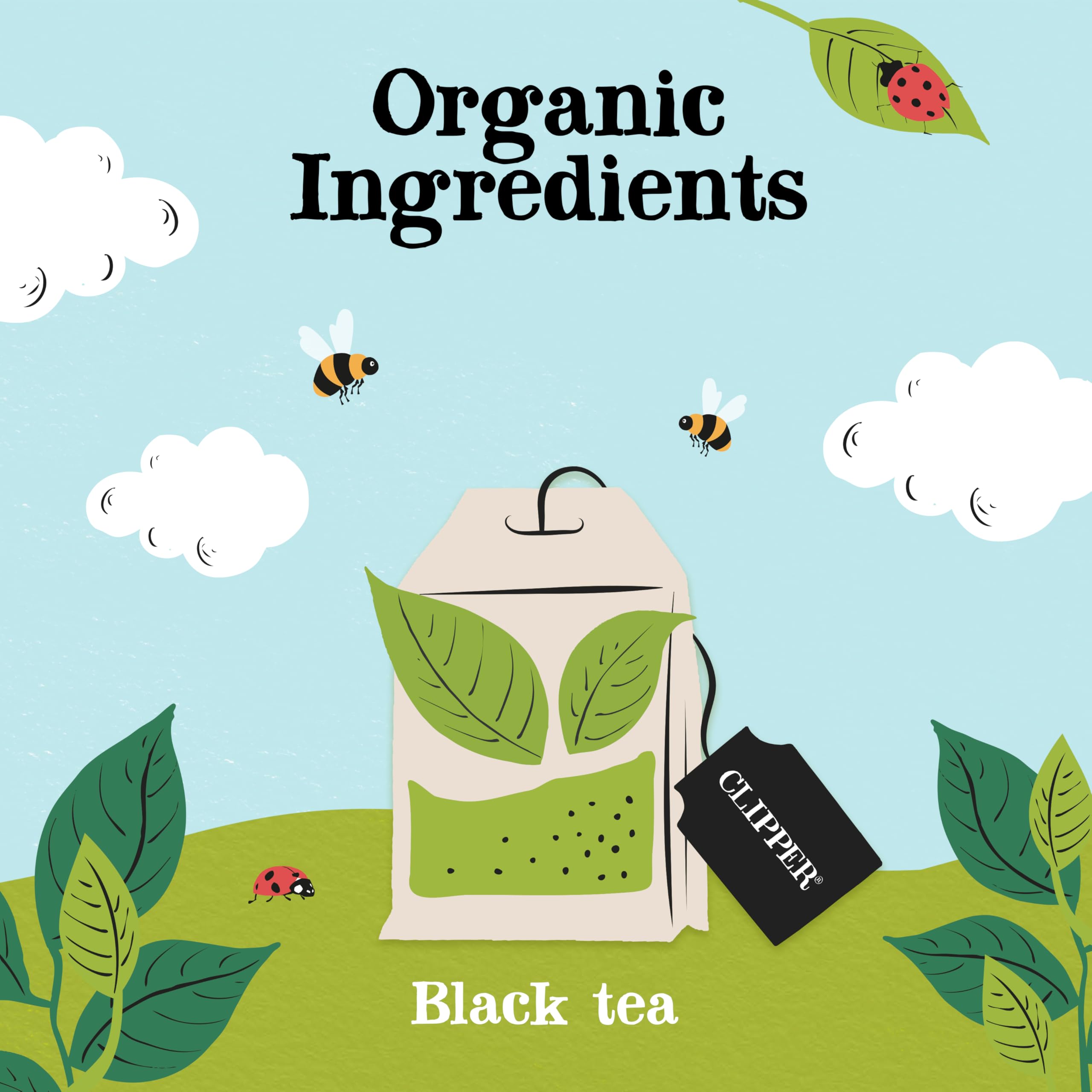 Clipper Organic Everyday Fairtrade Teabags | 80 Black Tea Bags | Unbleached, Biodegradable 14