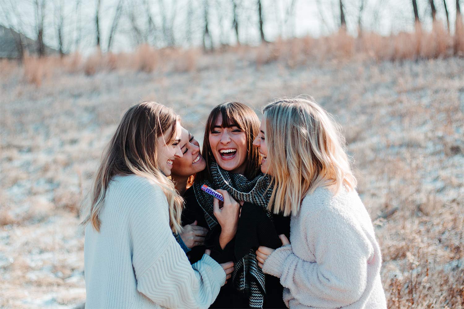 Mentos Fruit Flavoured Soft Chews, Natural Colours, 5-Pack Party Sweets 7