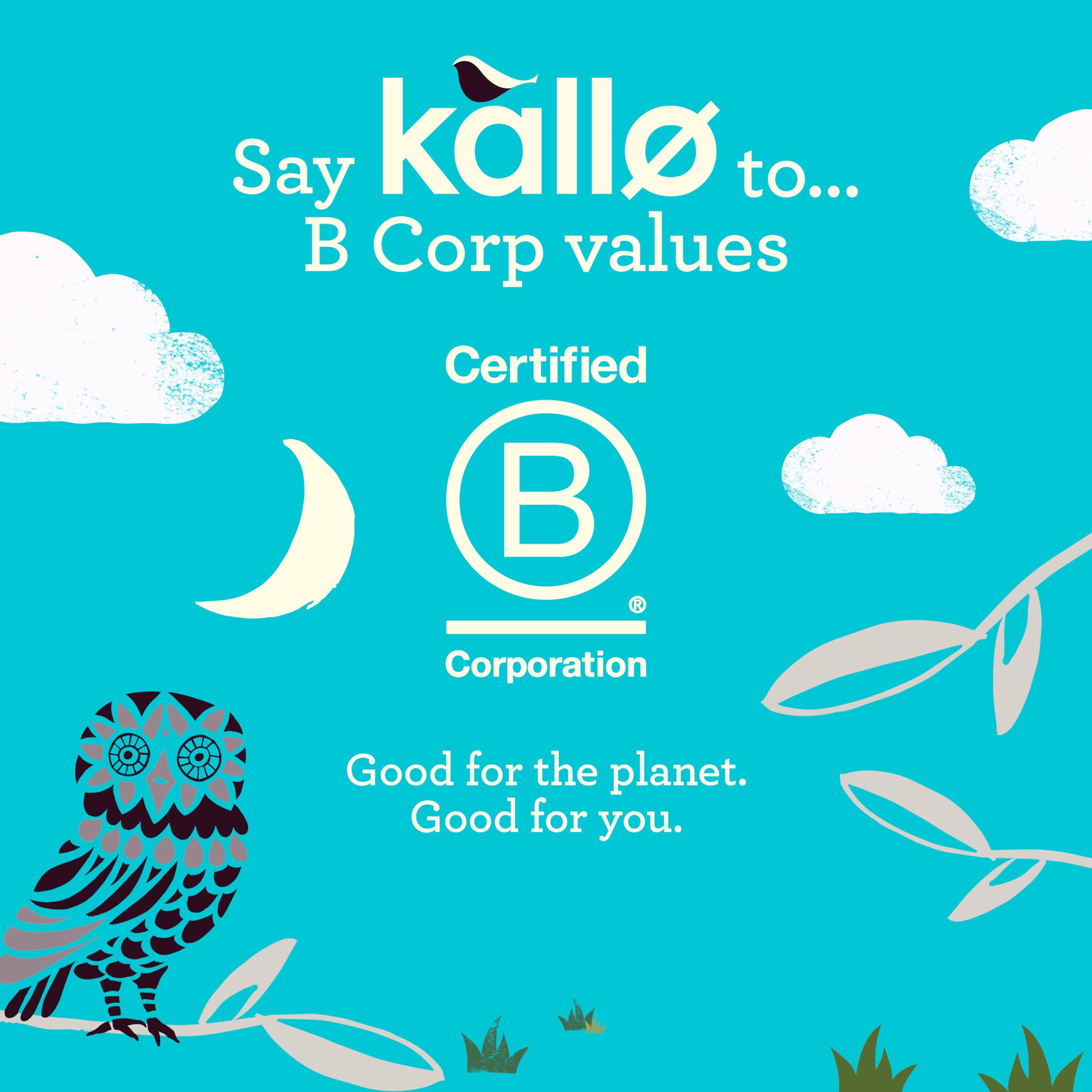 Kallo Dark Chocolate Mini Rice Cakes - Gluten Free Snack, 9 x 84g 4