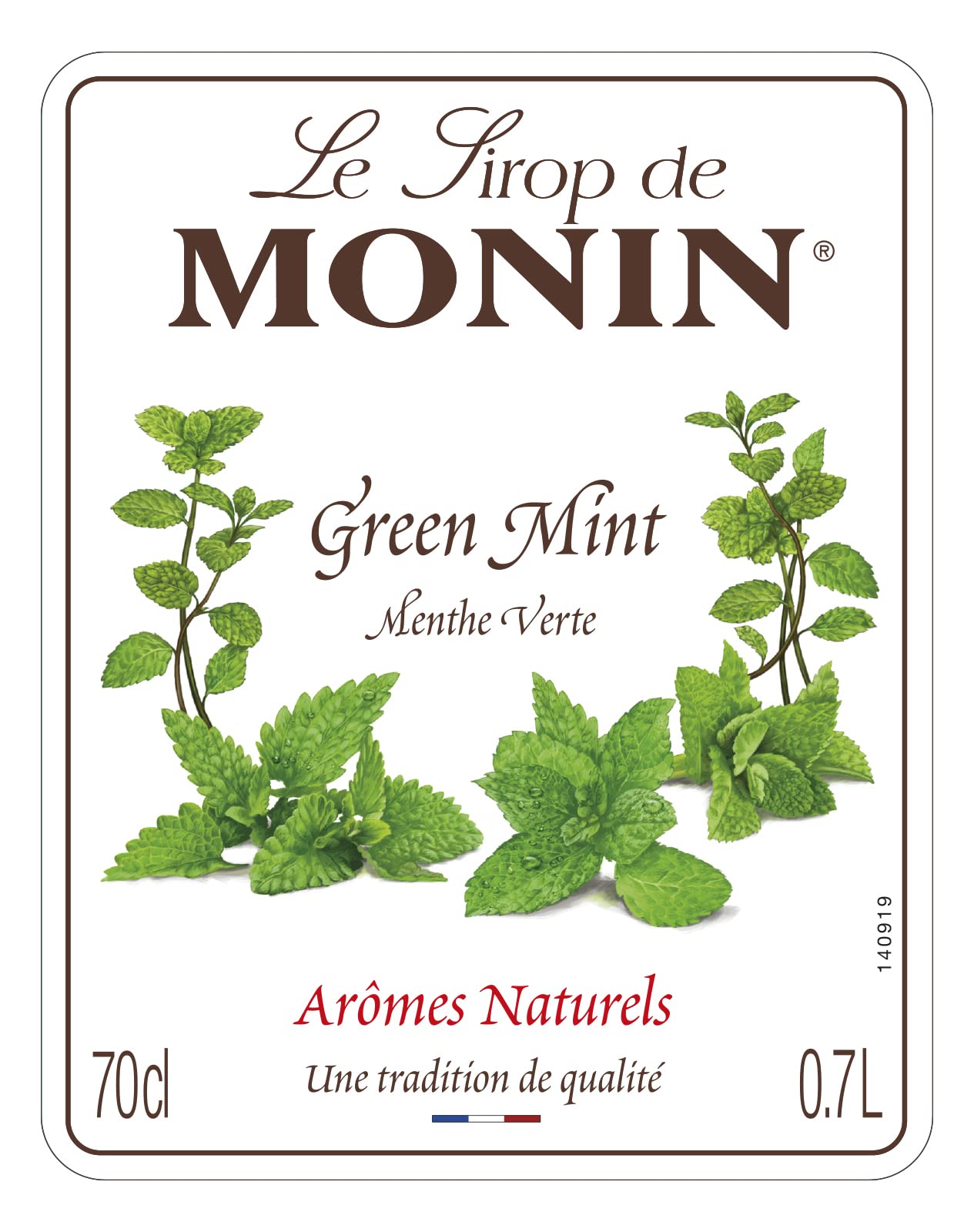 MONIN Grüner Minzsirup 700 ml – Vegan, allergenfrei, natürliches Aroma für Cocktails, Mocktails und Getränke 7