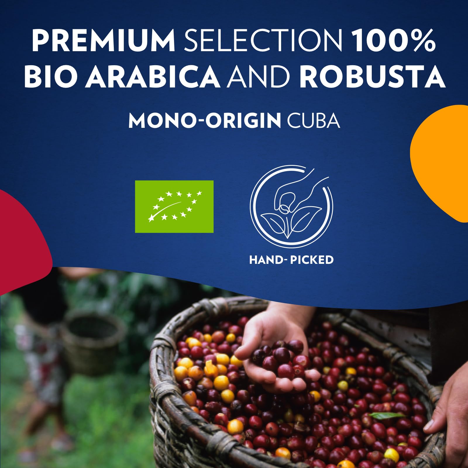 Lavazza Tierra For Amazonia - Organic Whole Coffee Beans 12