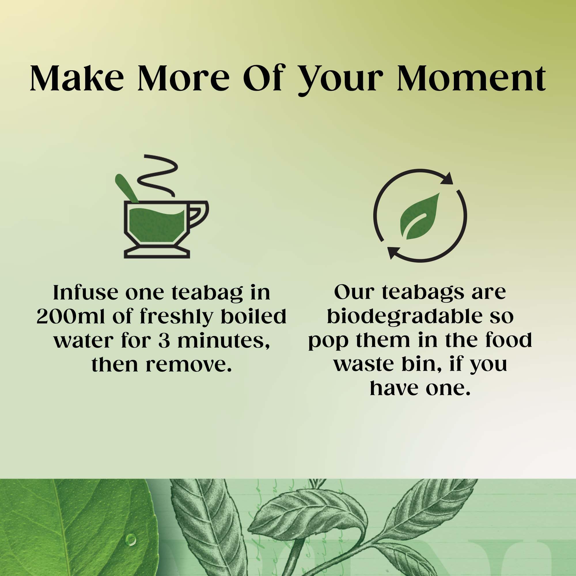 Twinings Pure Green Tea - 320 Tea Bags (Multipack of 4 x 80) 4