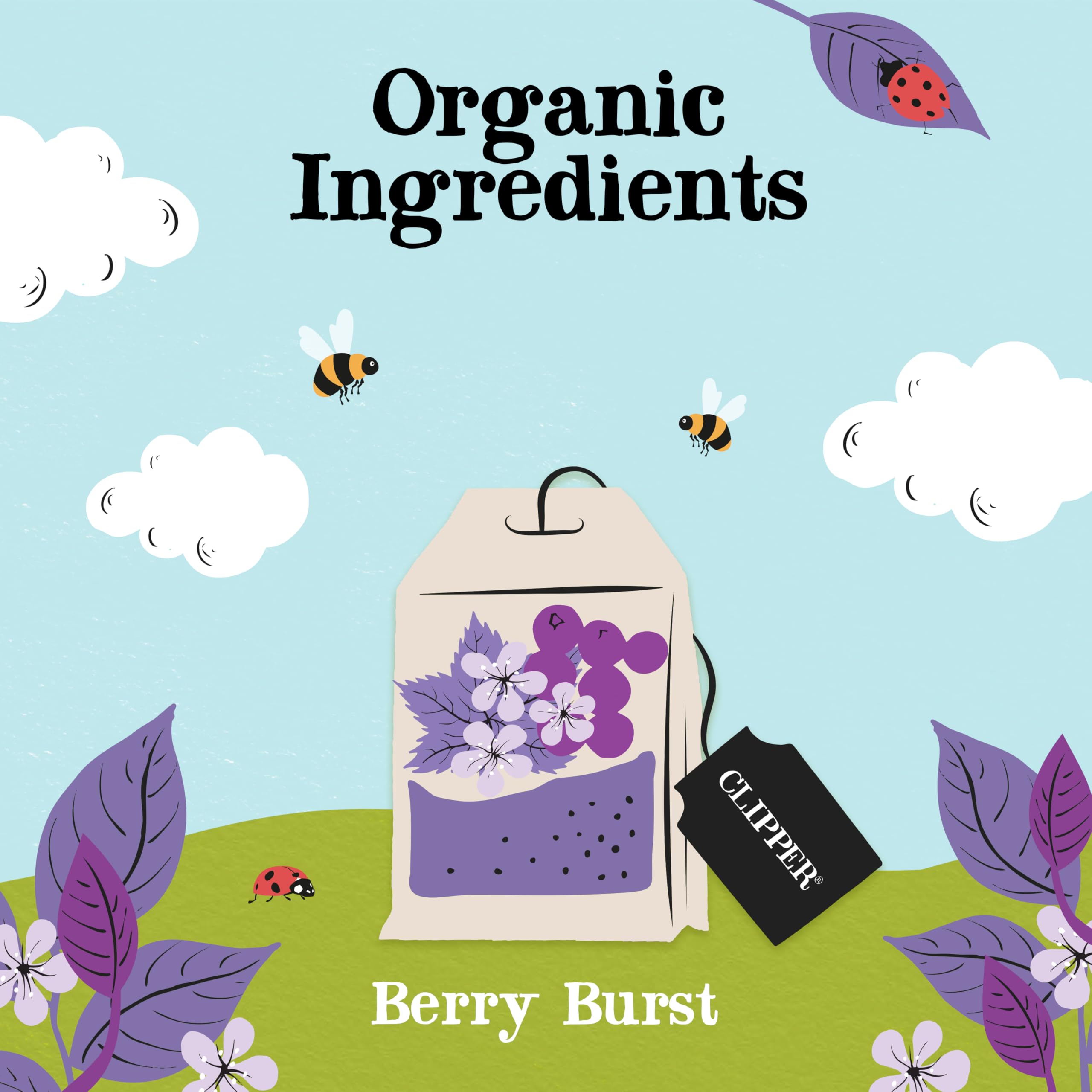Clipper - Organic Berry Burst Fruit Tea Bags | 150 Enveloped Sachets (6 x 25) | Caffeine-Free Herbal Infusion 3