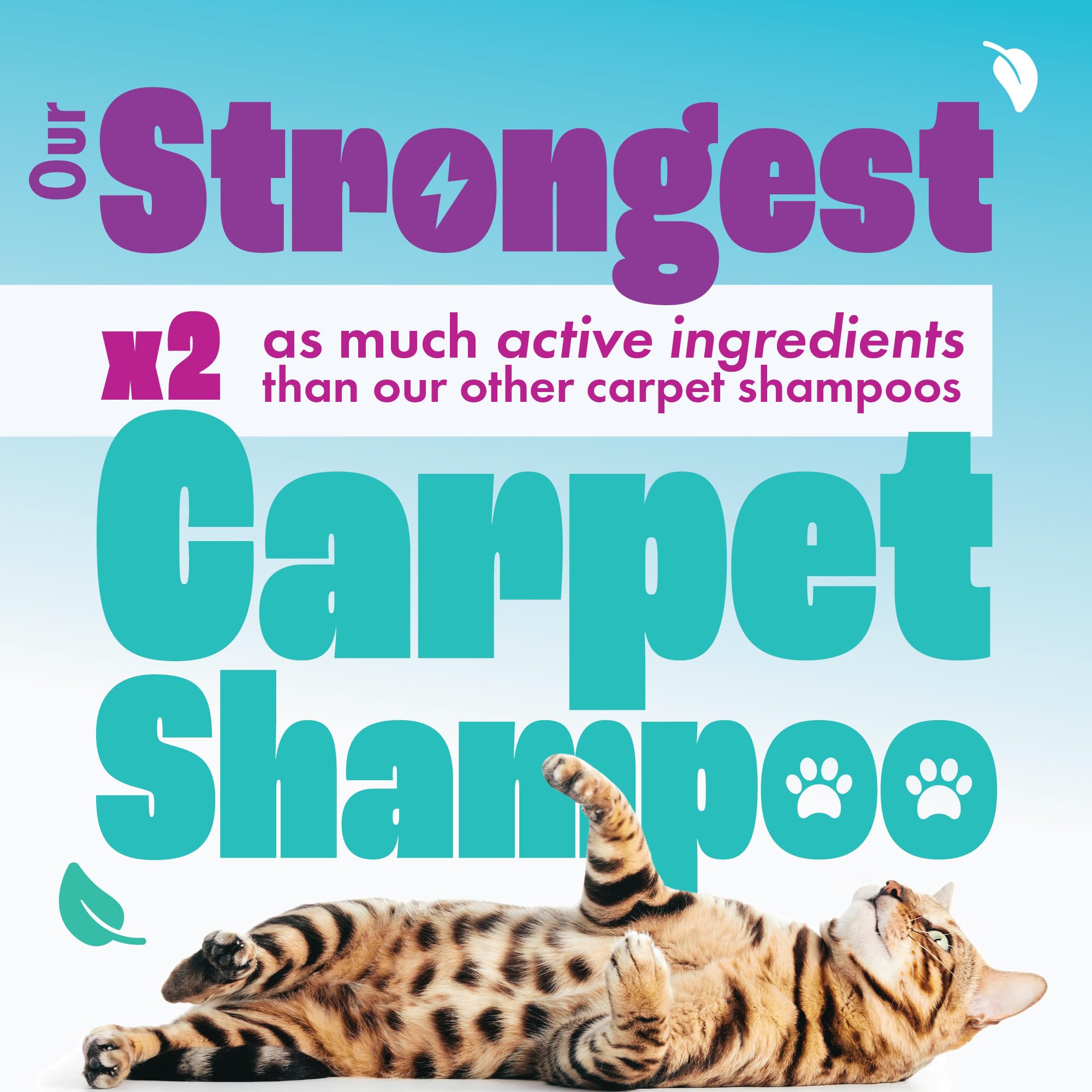 Dirtbusters - Pet Pro Carpet Cleaner Shampoo (1 Litre Concentrate) 11