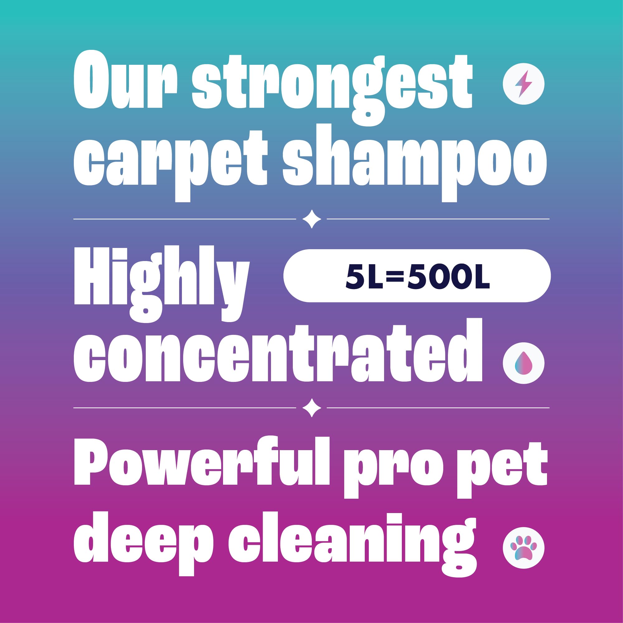 Dirtbusters - Pet Pro Carpet Cleaner Shampoo (1 Litre Concentrate) 7