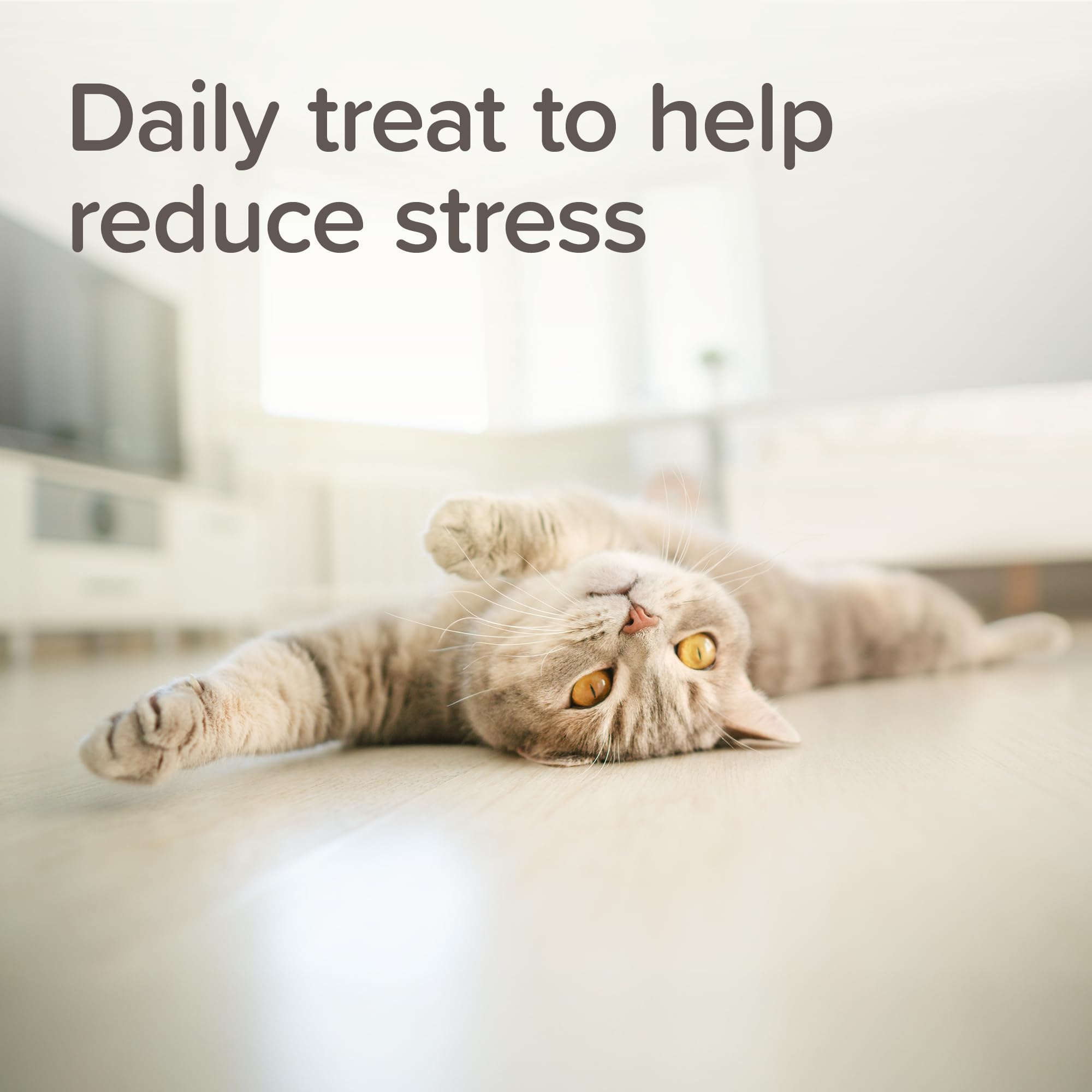 Beaphar StressLess Herbal Calming Cat Treats - Chicken Flavor | 35g Bag | All Ages 3