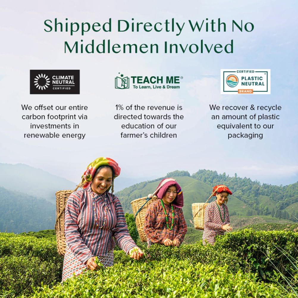 VAHDAM - Kurkuma-Ashwagandha-Kräuterteebeutel (15 Stück) 100 % reine Kräutermischung 9