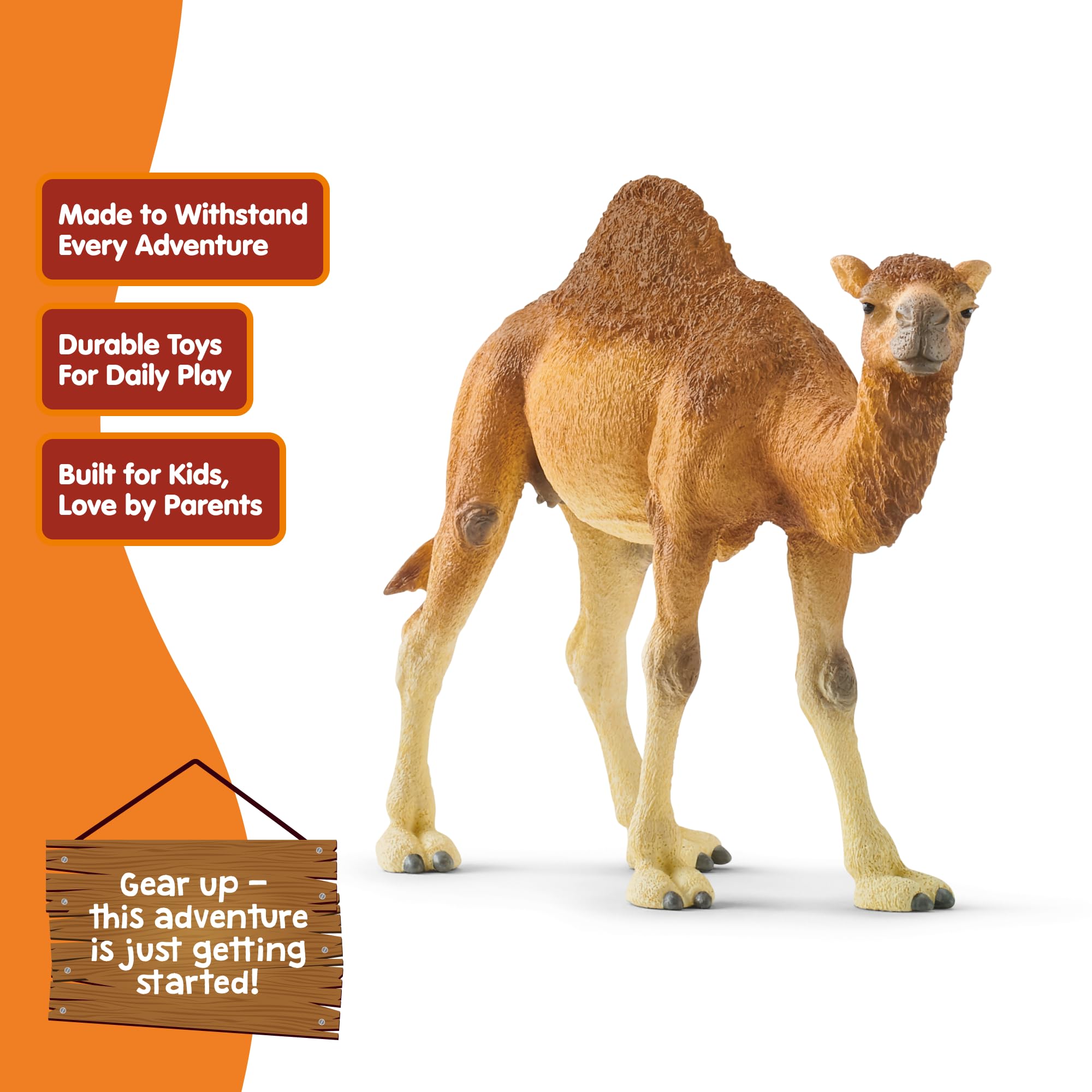 Schleich 14832 Dromedary Wild Life Toy Figurine | Ages 3-8 | Beige/Brown