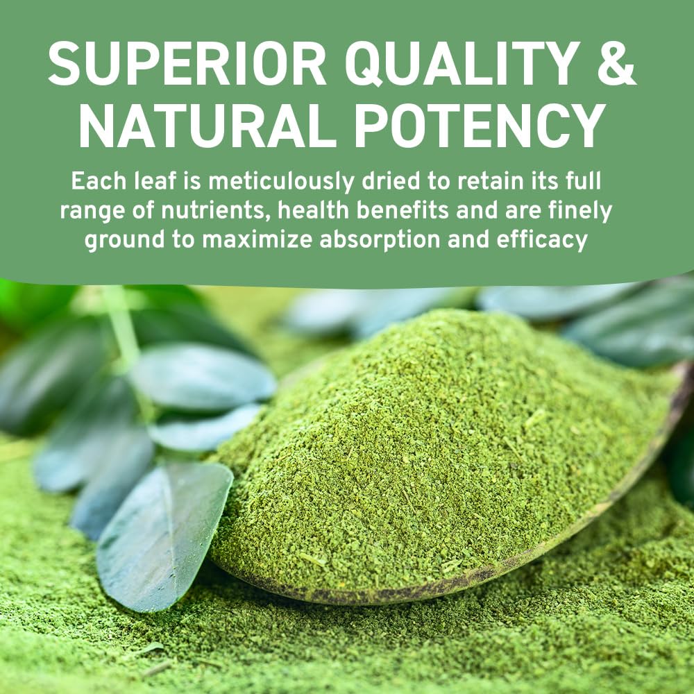 HANDPICK Moringa-Pulver (500 g) – Reine Moringa Oleifera-Blätter | Gentechnikfrei, glutenfrei | Wiederverschließbarer Beutel für Smoothies, Tee und zum Kochen 9