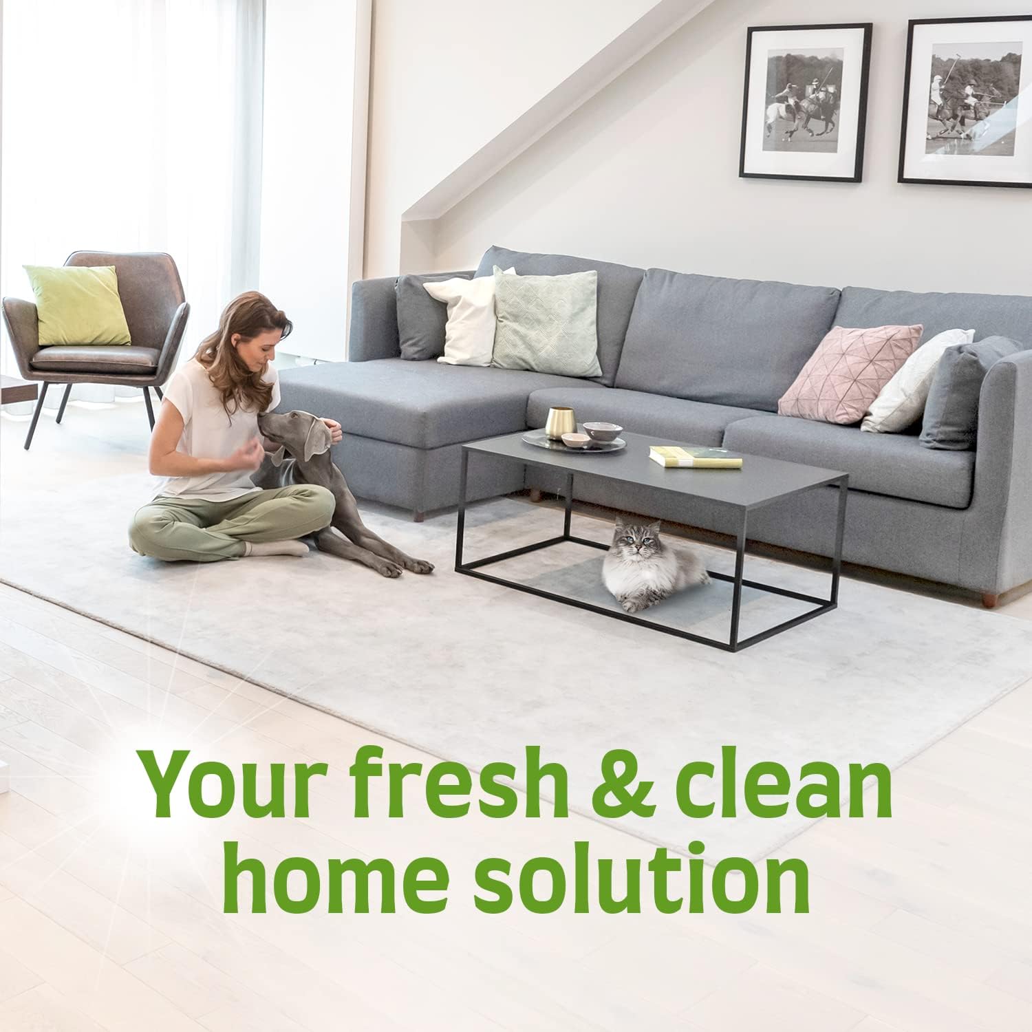 Nature's Miracle Ultimate Cat Stain & Odour Eliminator - Extra Strong Bio-Enzymatic Formula (1.03 kg) 7