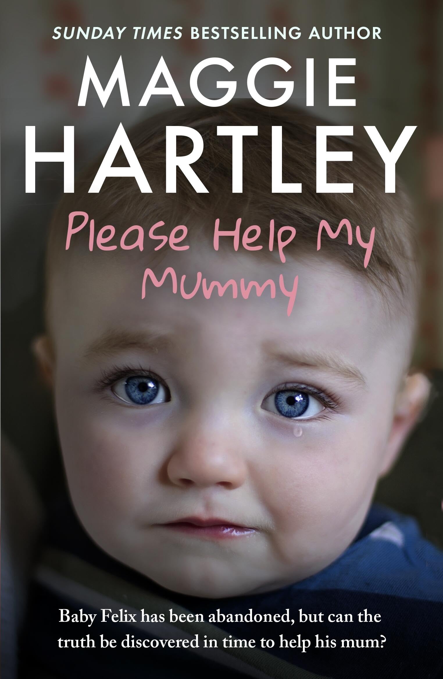 Maggie Hartley - Please Help My Mummy: Baby Felix has been abandoned | Paperback 1
