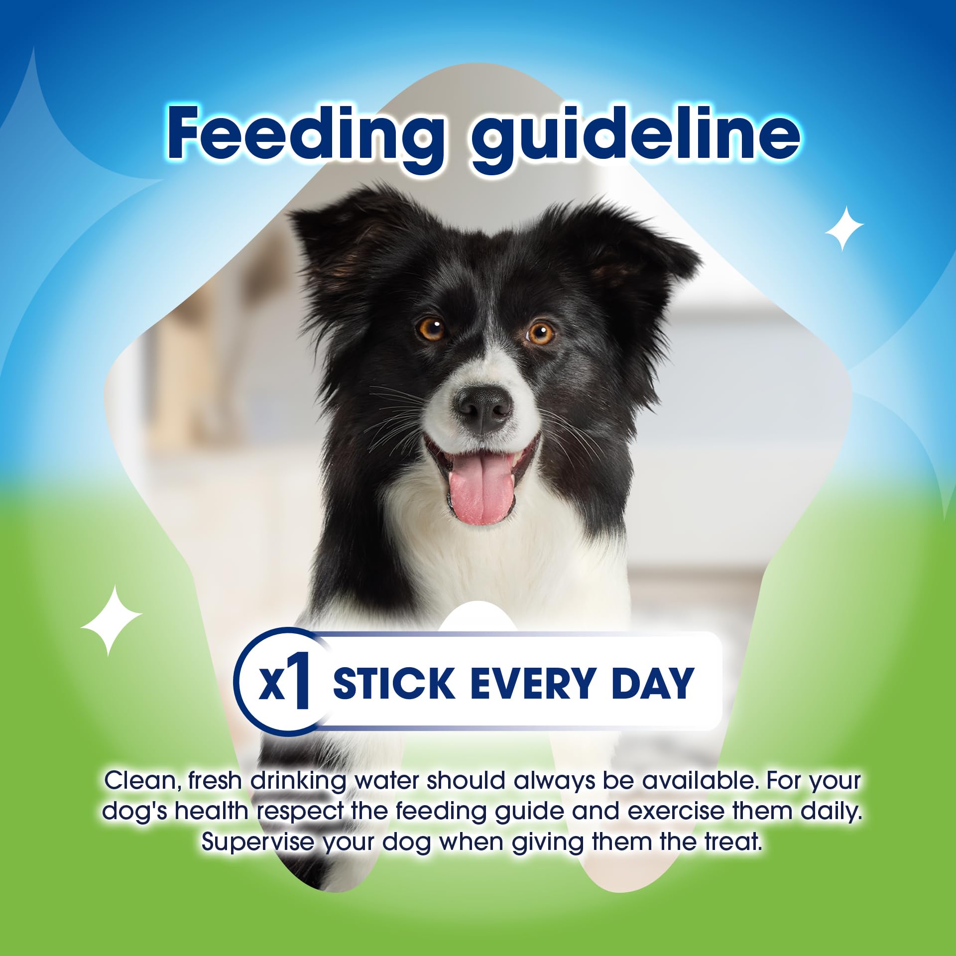 Dentalife ActivFresh Medium Dental Sticks for Adult Dogs with Chicken Flavor - 5 Sticks 4