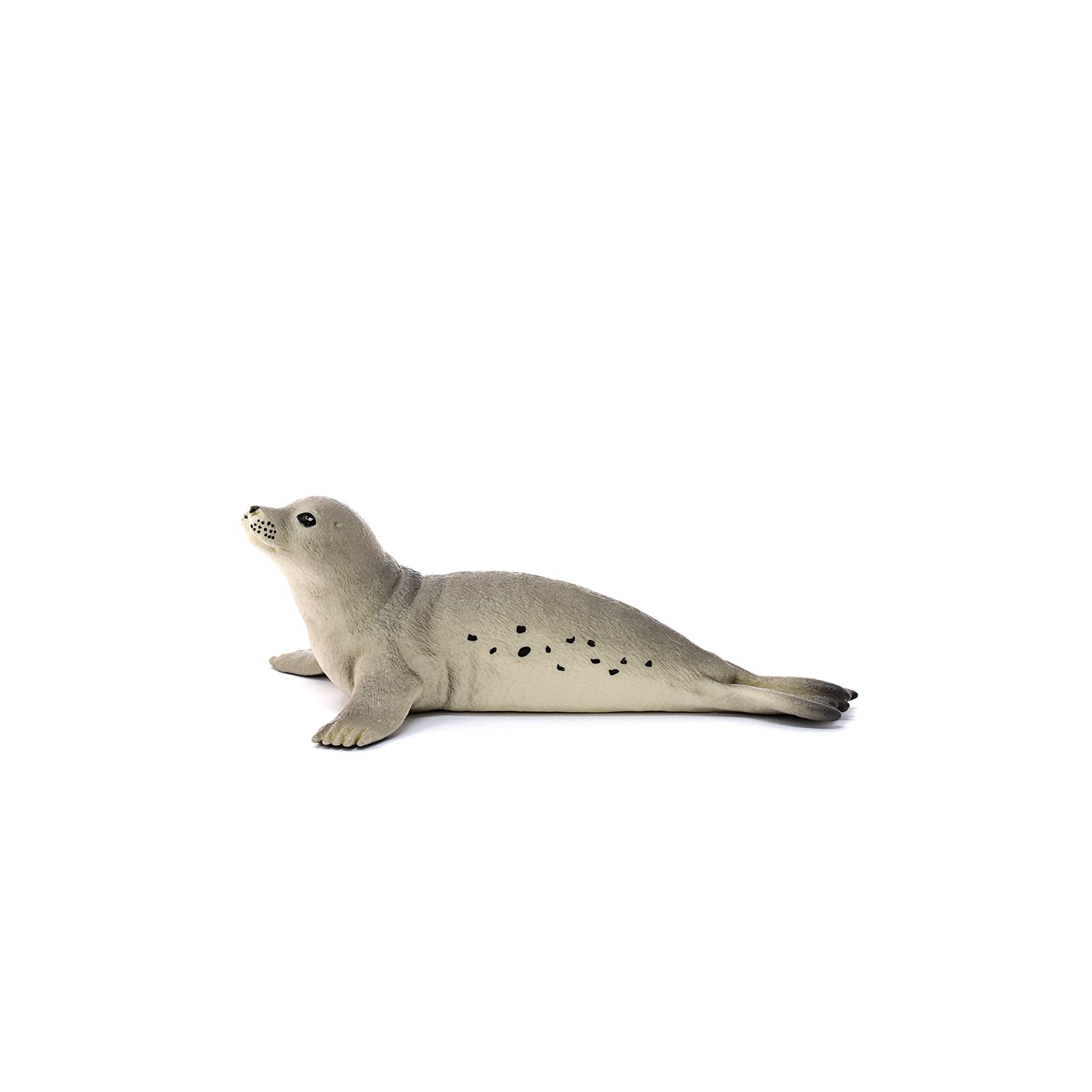 SCHLEICH 14801 Seal Wildlife Animal Figure - Educational Play for Kids 10