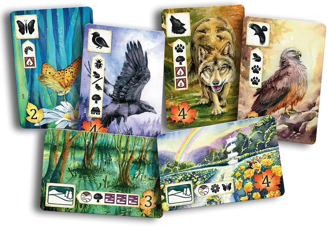 Rebel Centrum Meadow Board Game 9