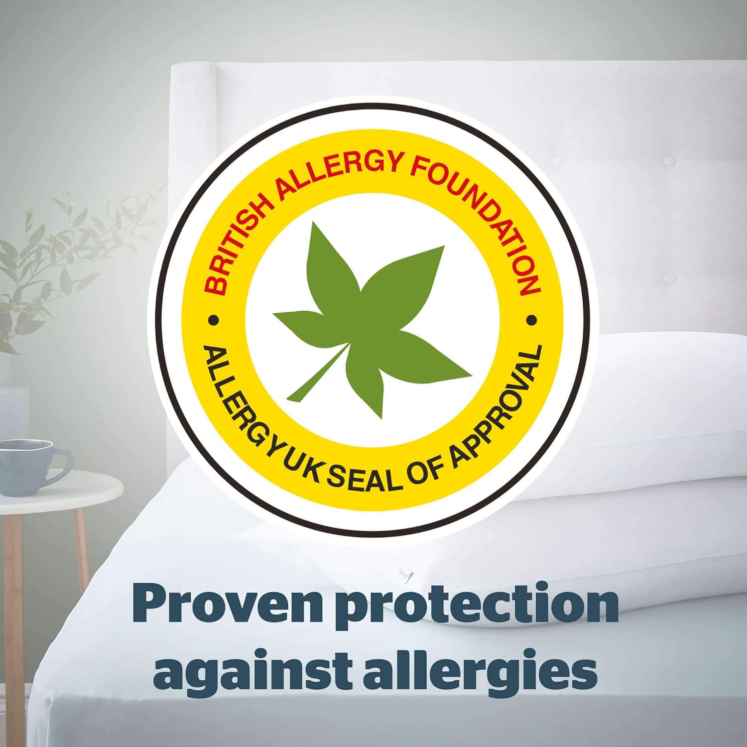 Silentnight – Anti-Allergie-Mikrofaser-Kissen, 2er-Pack (Twin) 10