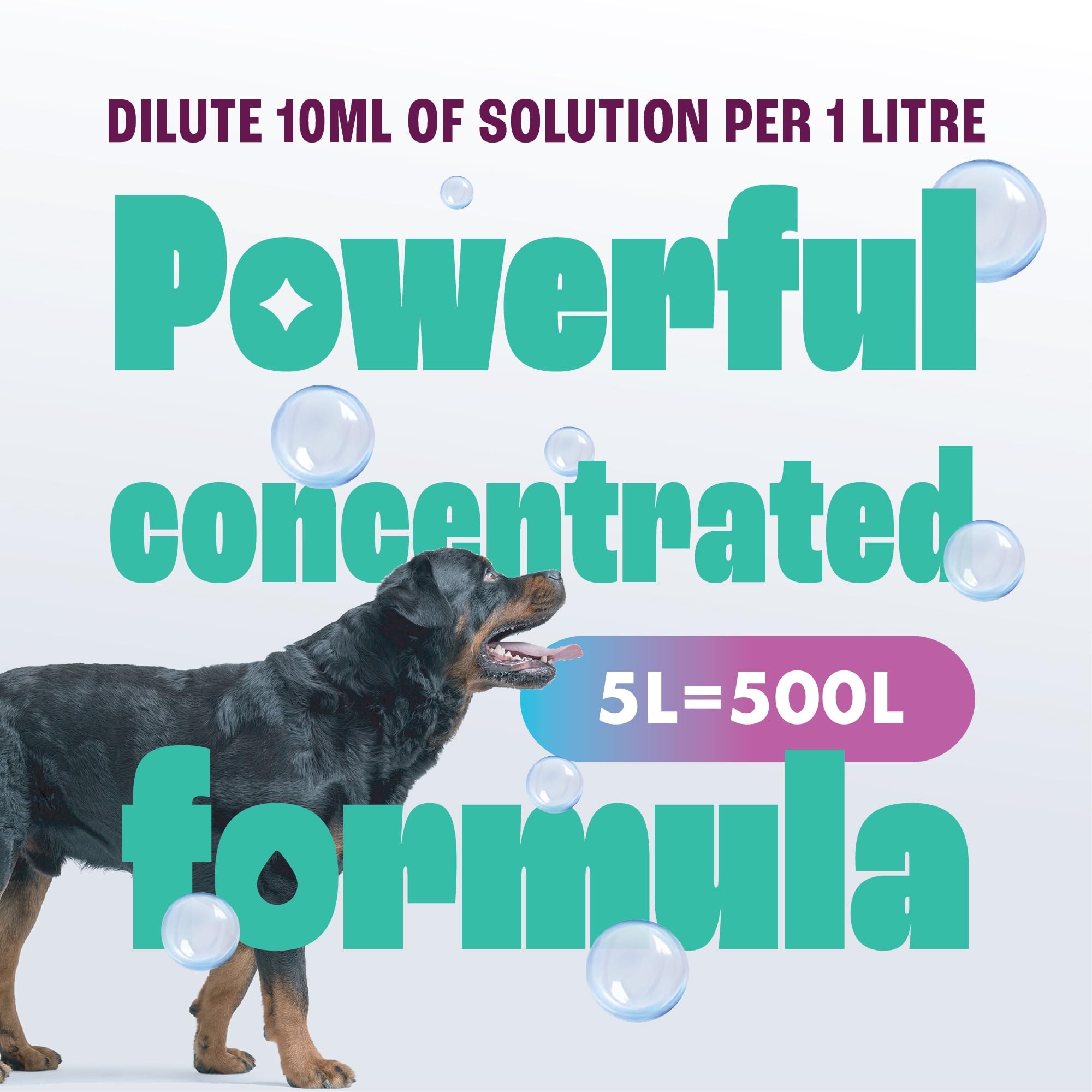 Dirtbusters - Pet Pro Carpet Cleaner Shampoo (1 Litre Concentrate) 9