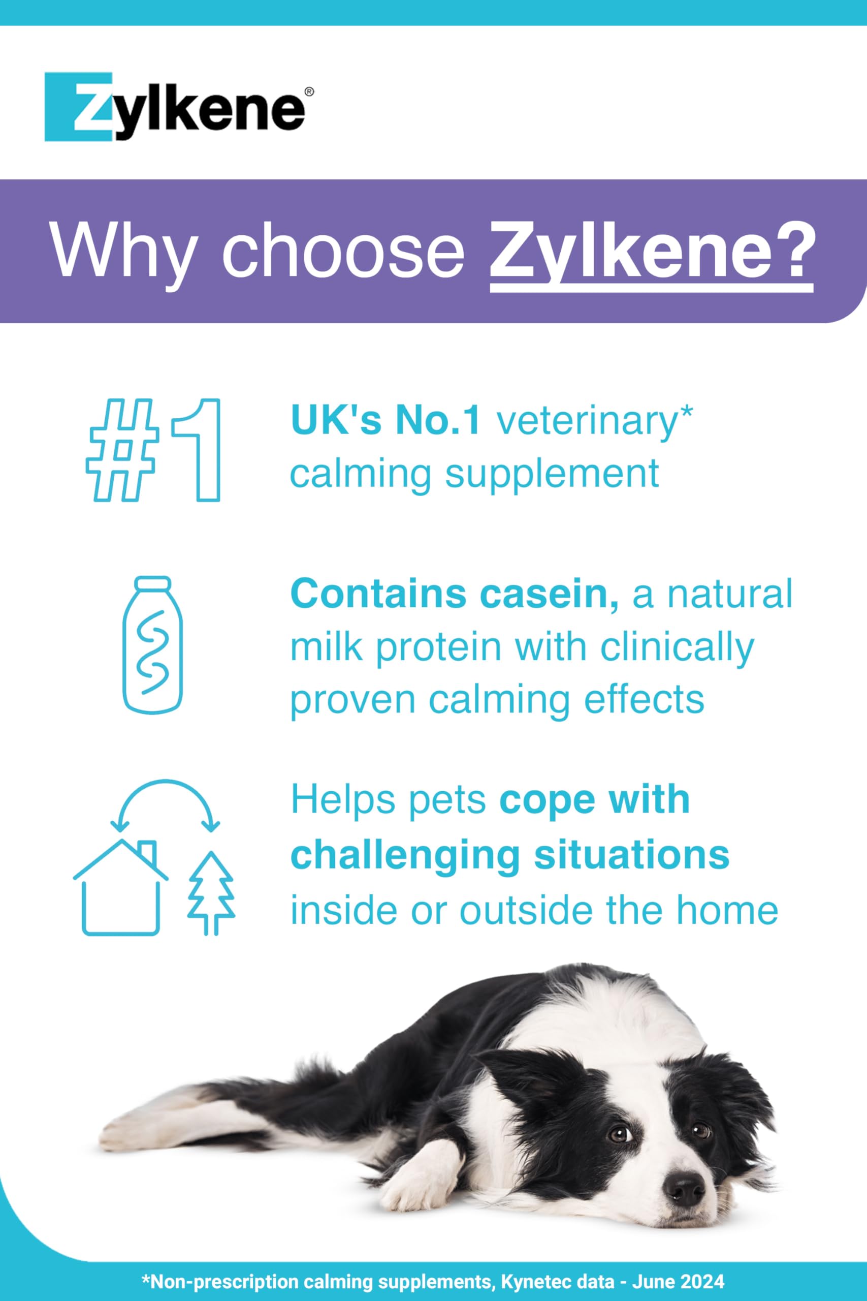 Zylkene Calming Supplements for Large Dogs (30 to 60kg) 450mg | 20 Capsules