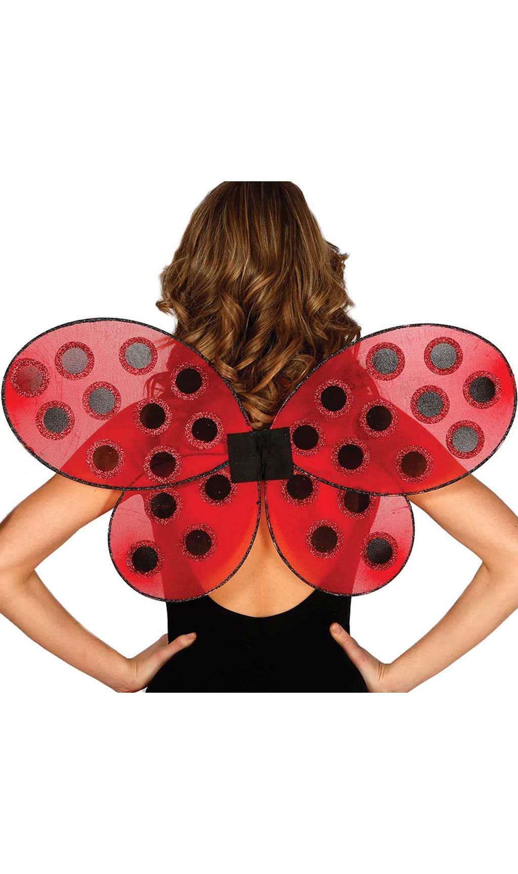 Guirca Party Beetle Wings 63 x 41 cm Model 18607