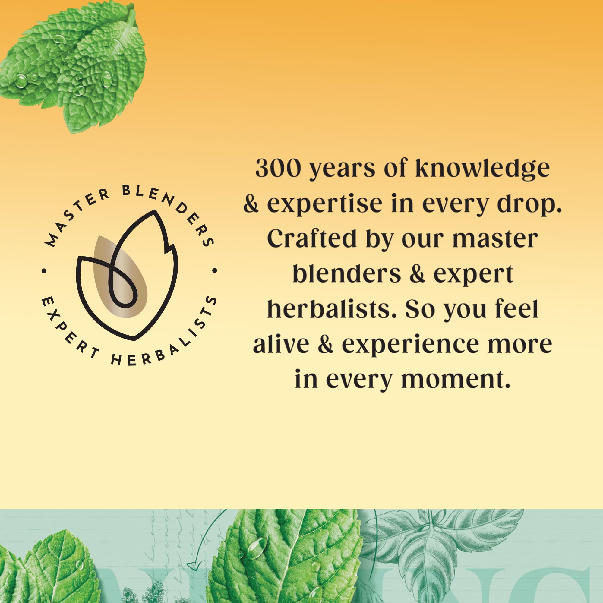 Twinings Pure Peppermint 80 Teebeutel, 160 g – Natürlich koffeinfreier Kräutertee 12