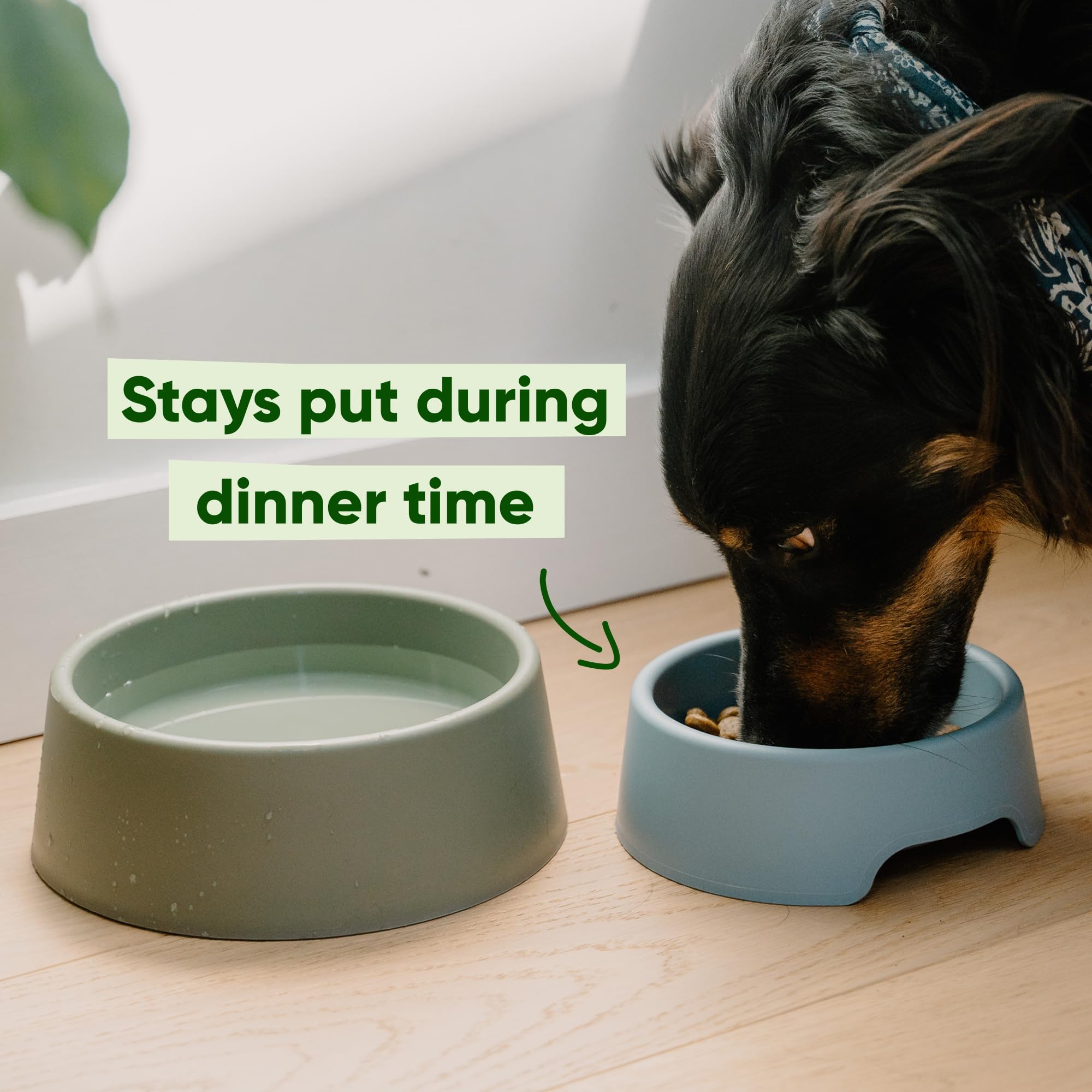 Beco Steady Dog Bowl - Non-Slip, Recycled Plastic, Large Size | Dishwasher Safe 4