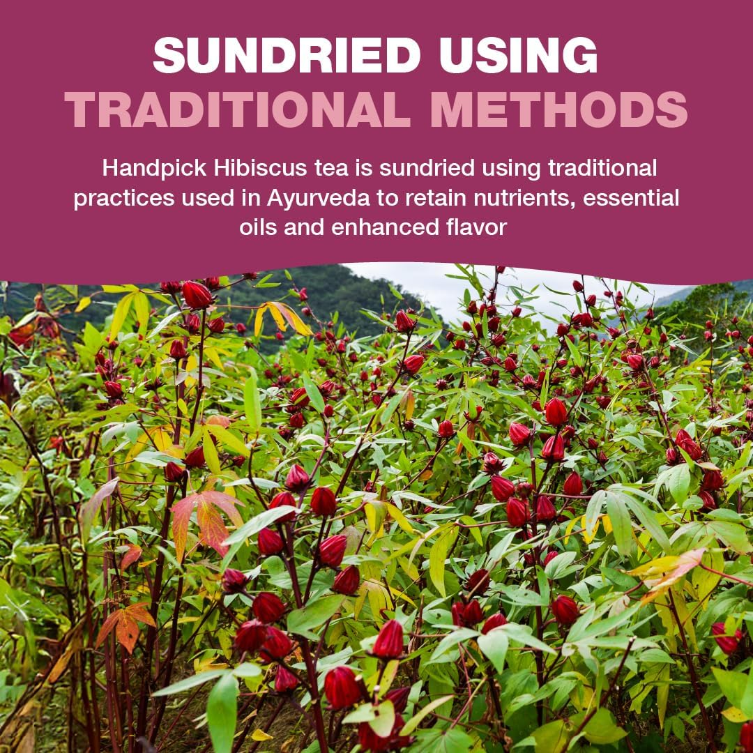 HANDPICK Hibiscus Tea Bags - 100 Count | 100% Pure Herbal Tea | Brew Hot or Iced | Carbon-Neutral & Plastic-Neutral 8